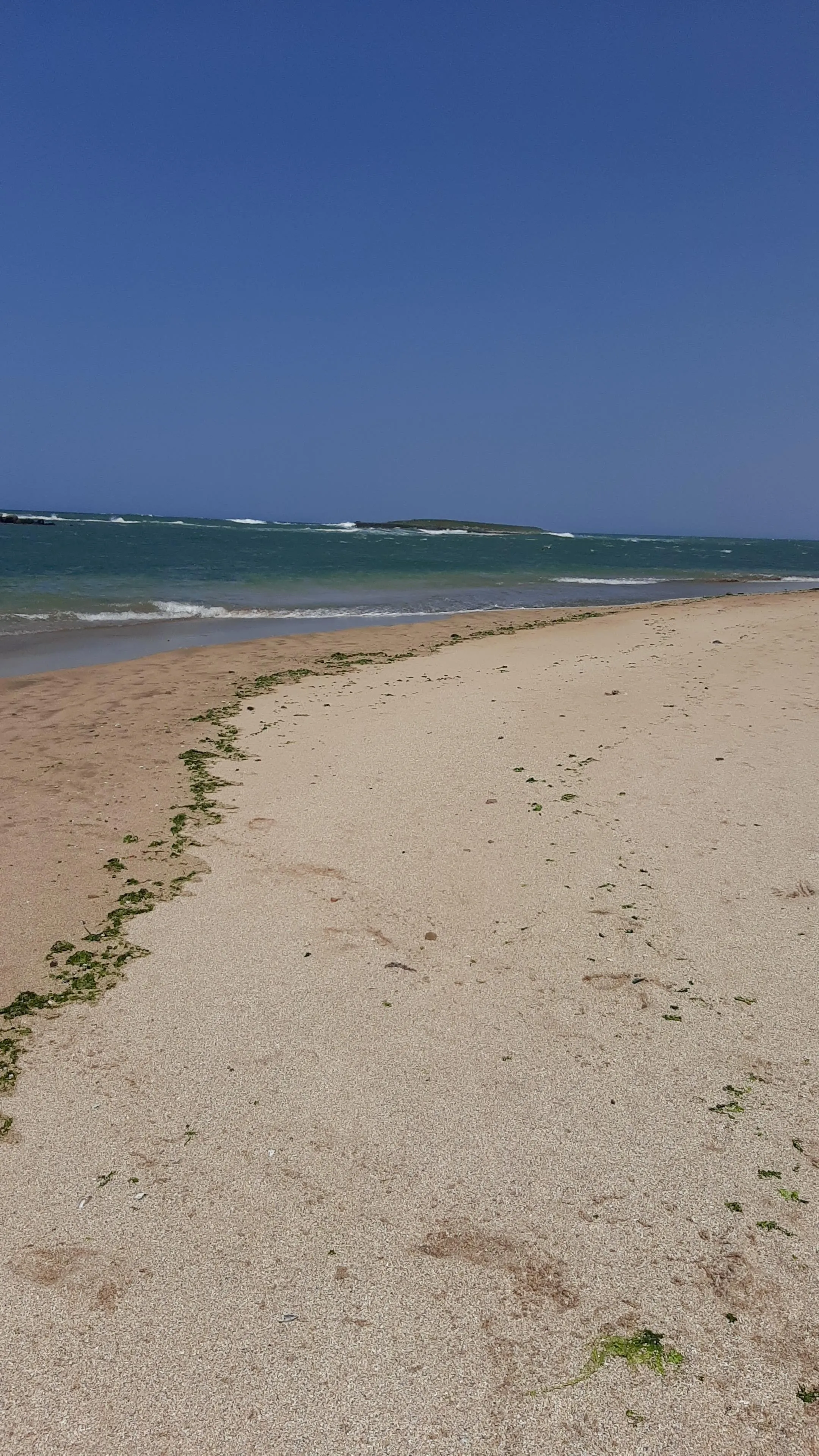 Très beau terrain à 80m de la plage de Skhirat plan autorisé - الصخيرات