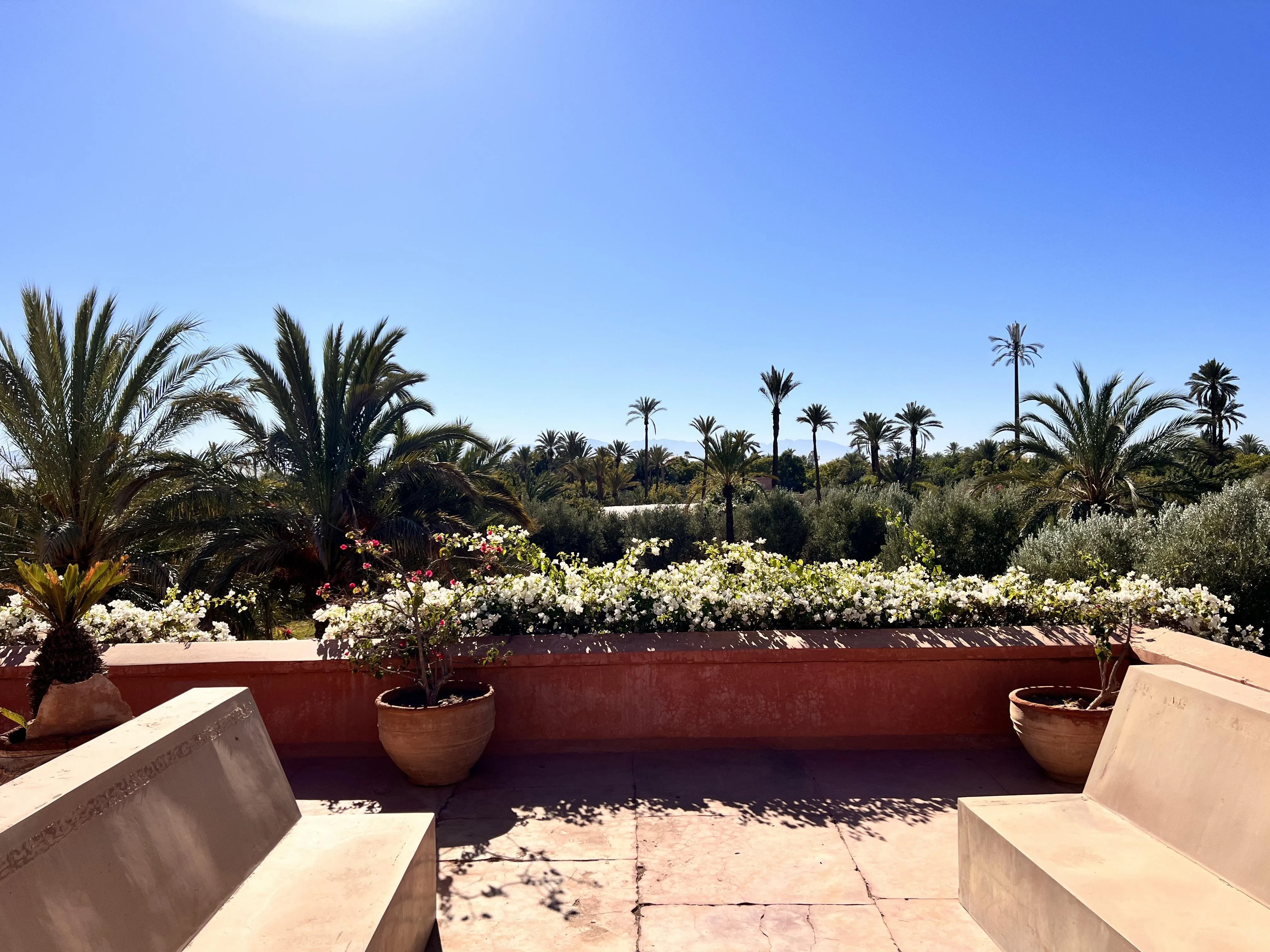 Villa Coup de Coeur de 800 m2 à Bab Atlas - مراكش (4)