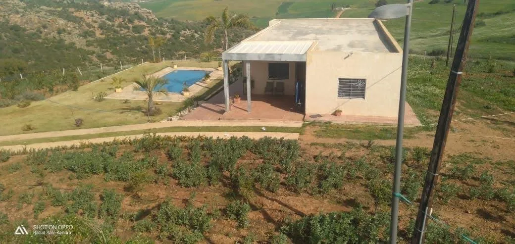 Ferme exceptionnelle à sidi yahya Zaers - تمارة (3)