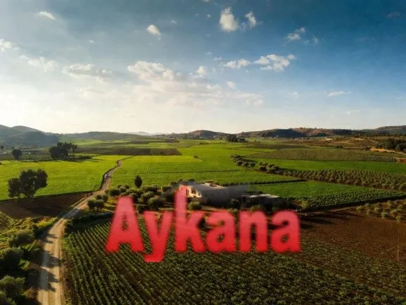 vente ferme à Ain Aouda Nkheila - عين العودة