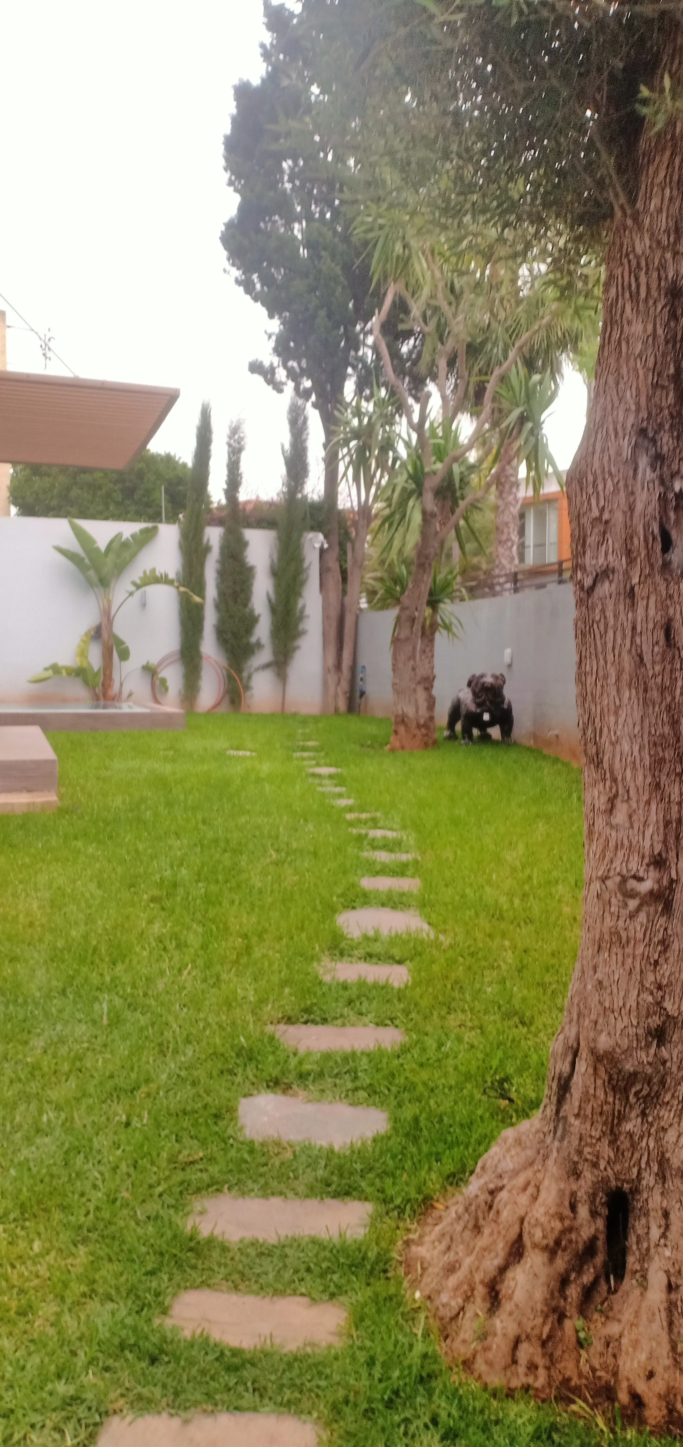 VILLA  AVENDRE  QUARTIER  AINDIAB - الدار البيضاء