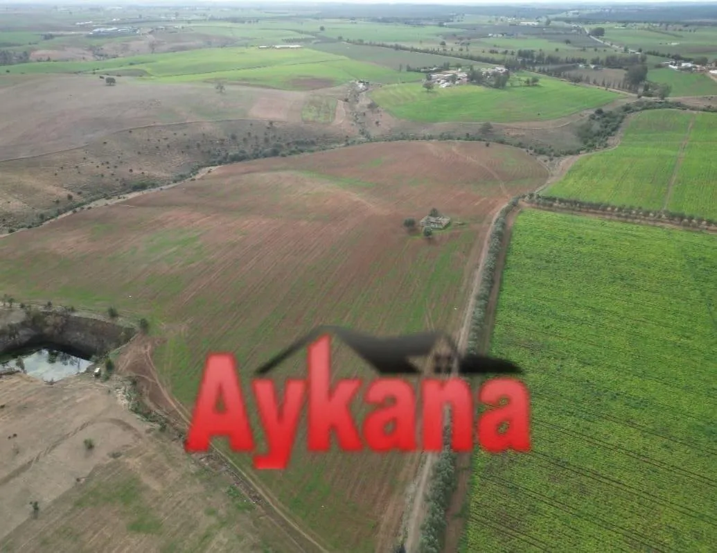 Vente Ferme d'Exception à Benslimane - بن سليمان (3)