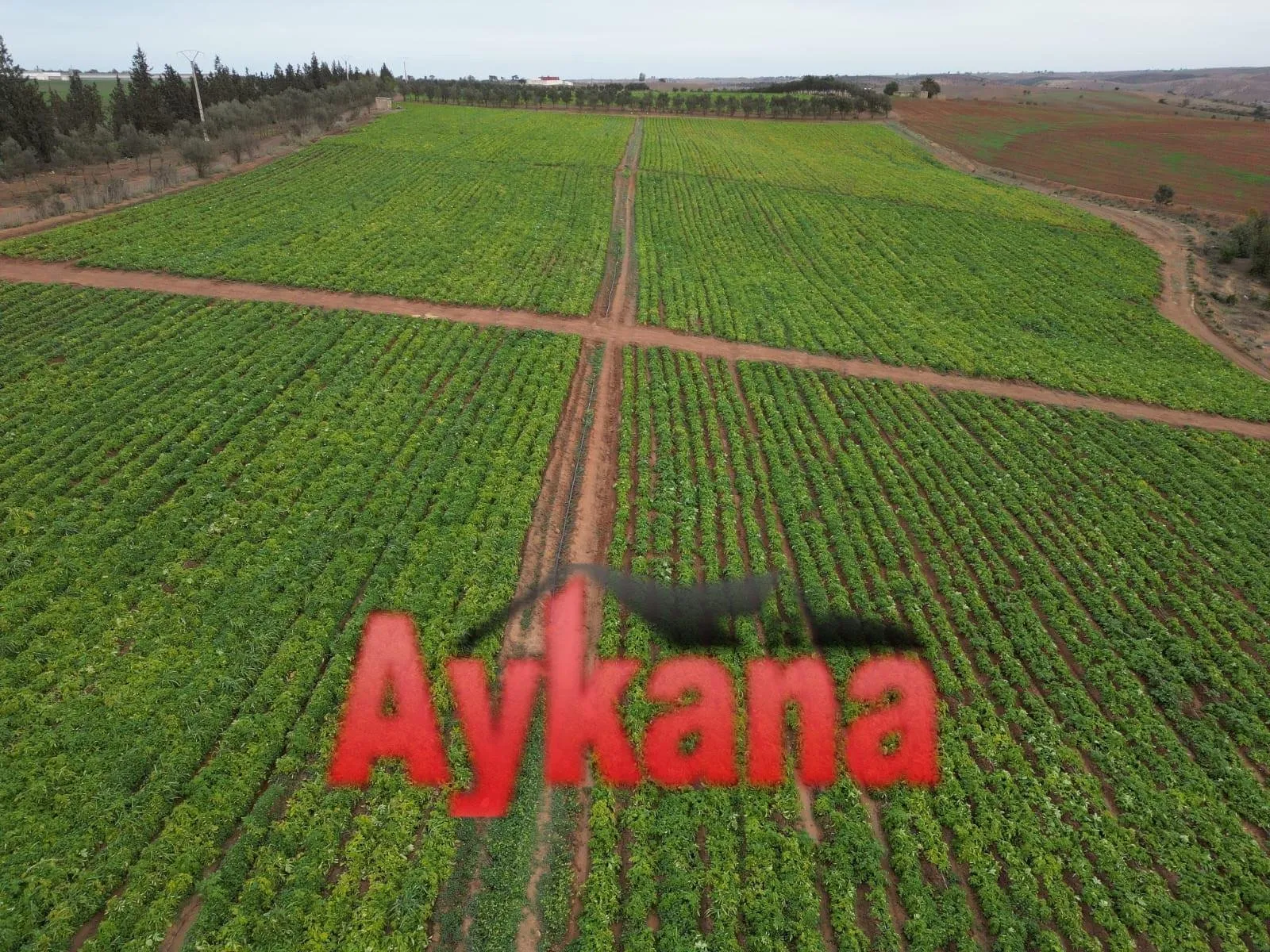 Vente Ferme d'Exception à Benslimane - بن سليمان (4)