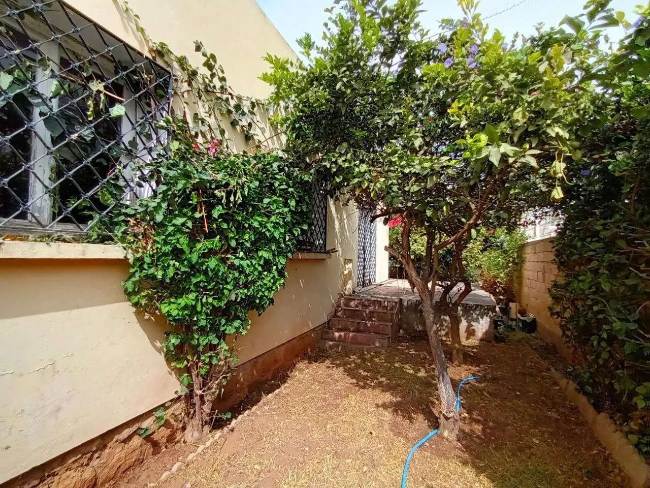 TEERAIN R+5 AVENDRE QUARTIER RACINE - الدار البيضاء (3)