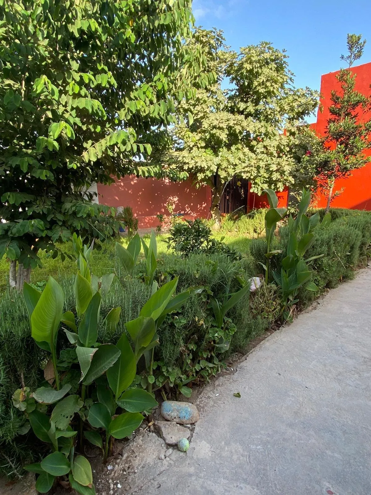 Maison melkia de 200 m² à Mejedba Mhamadia - المحمدية