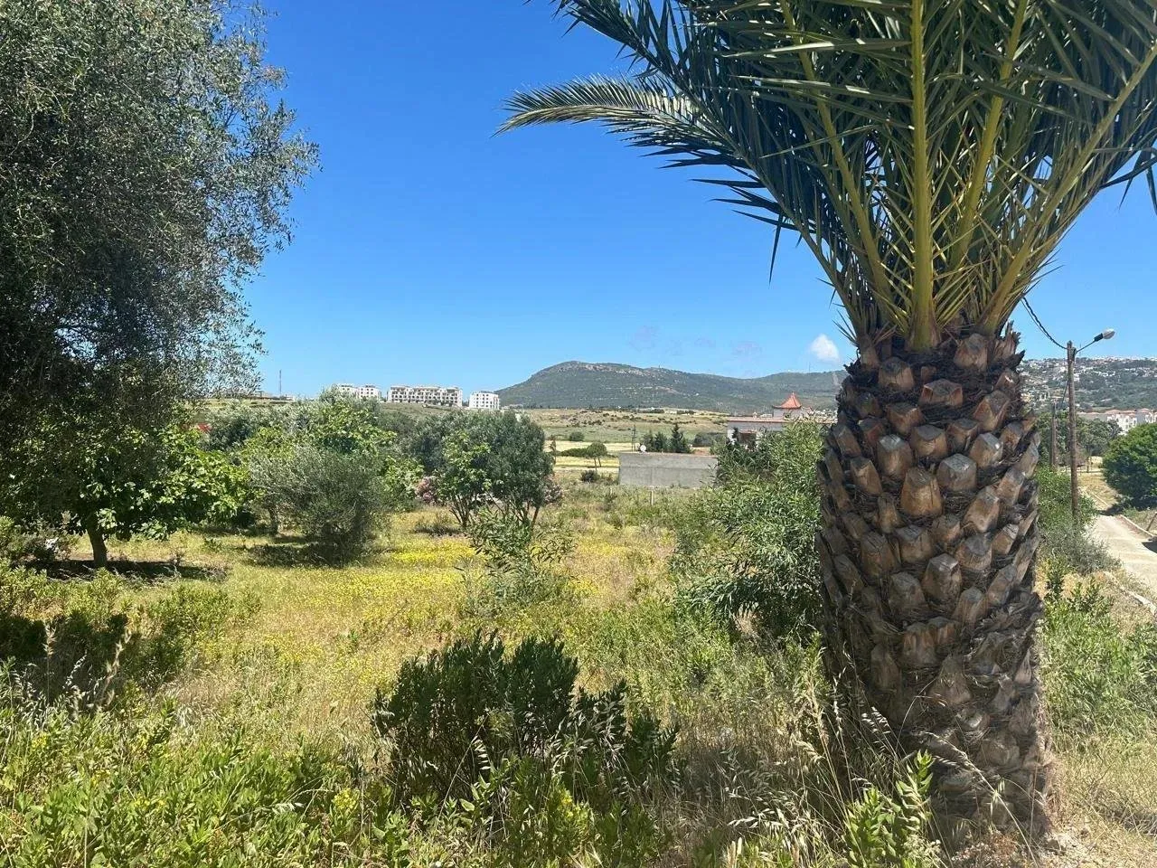 Terrain pour Villa à Tanger, 1801 m² - طنجة