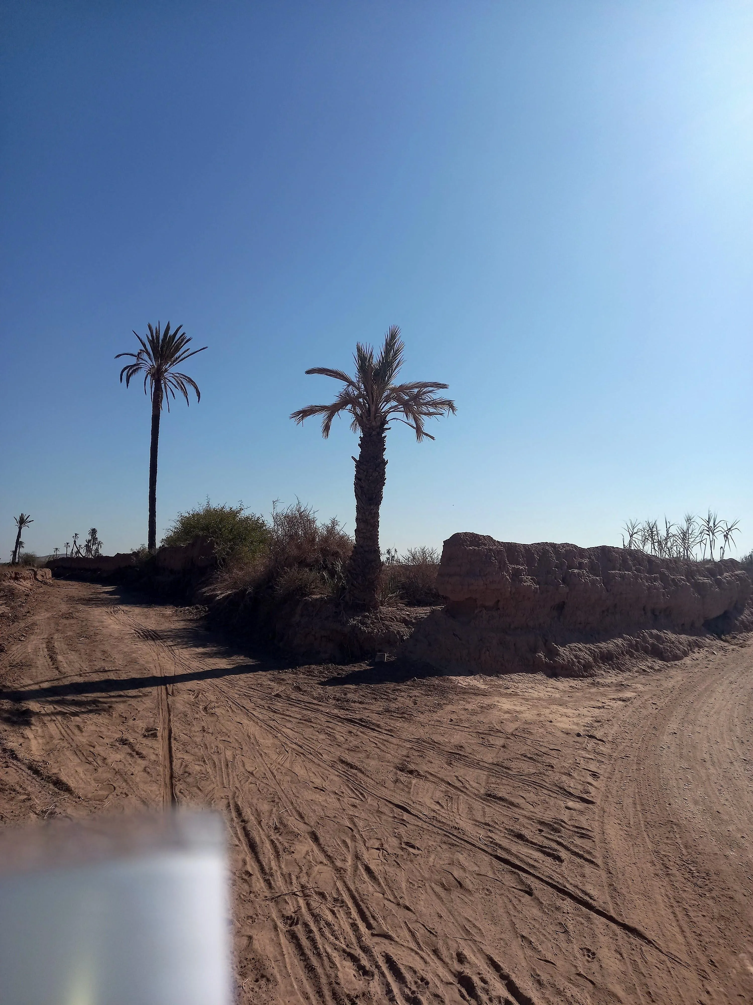 Terrain titré de 13500 à Bensasi - مراكش