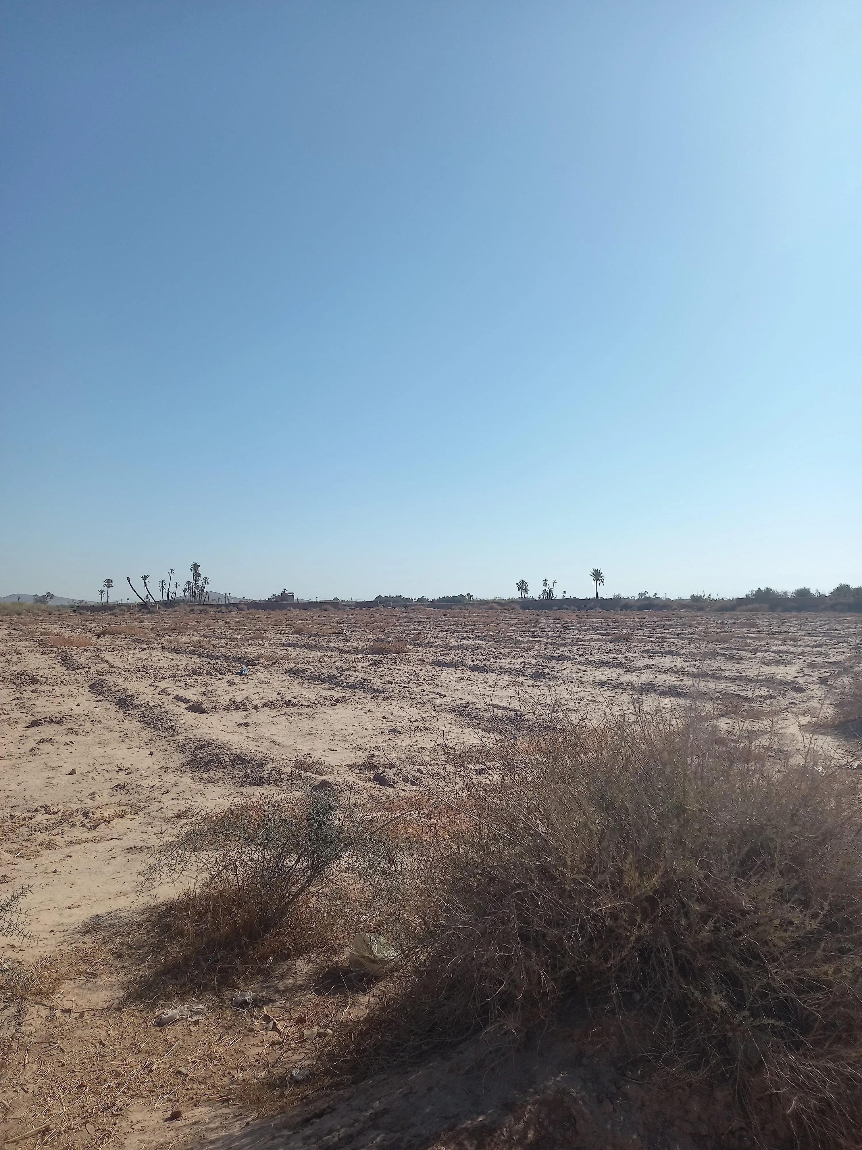 Terrain titré de 13500 à Bensasi - مراكش (4)