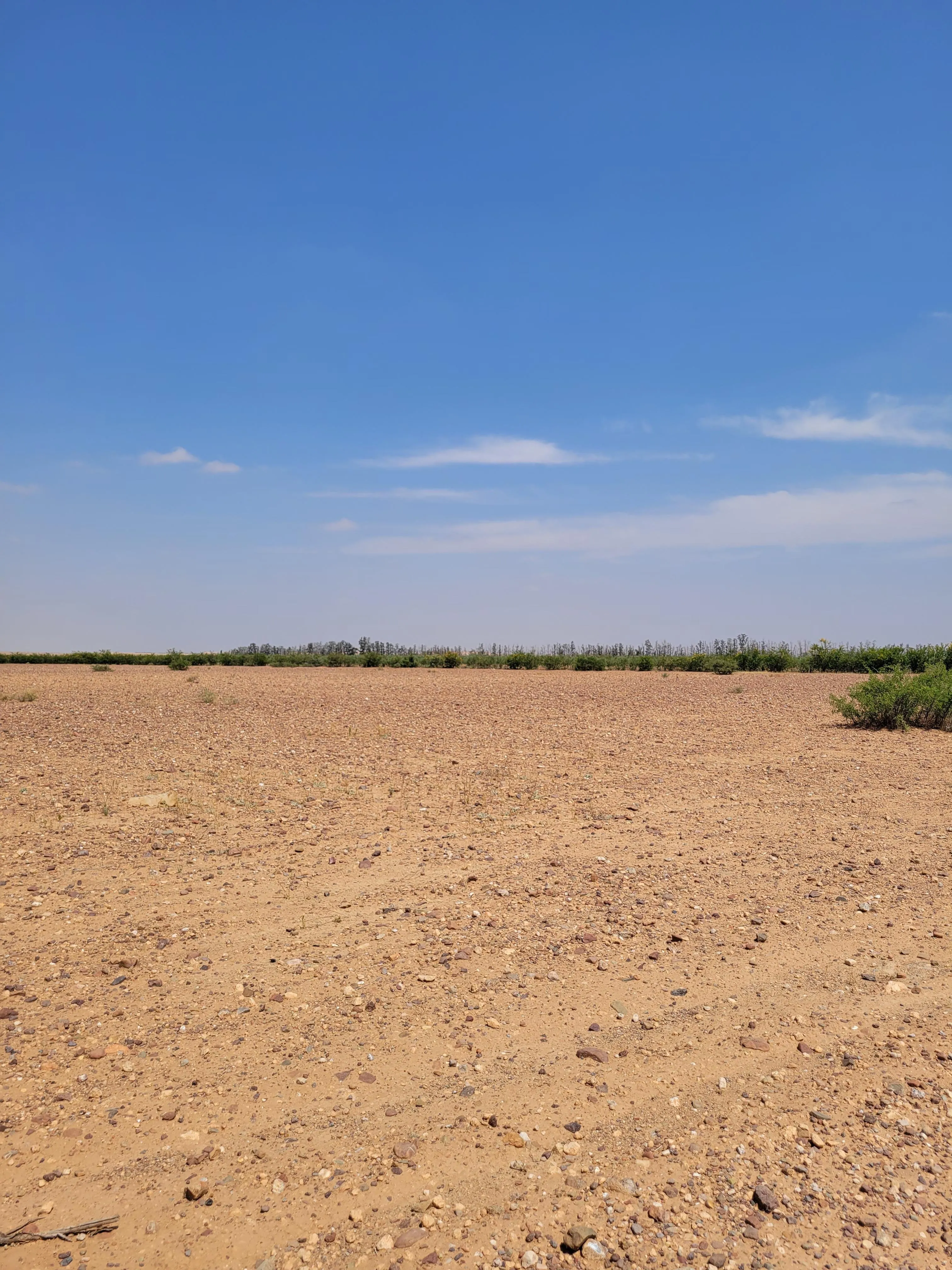 Terrains de 5 hectares en réquisition Rte Amizmiz - مراكش