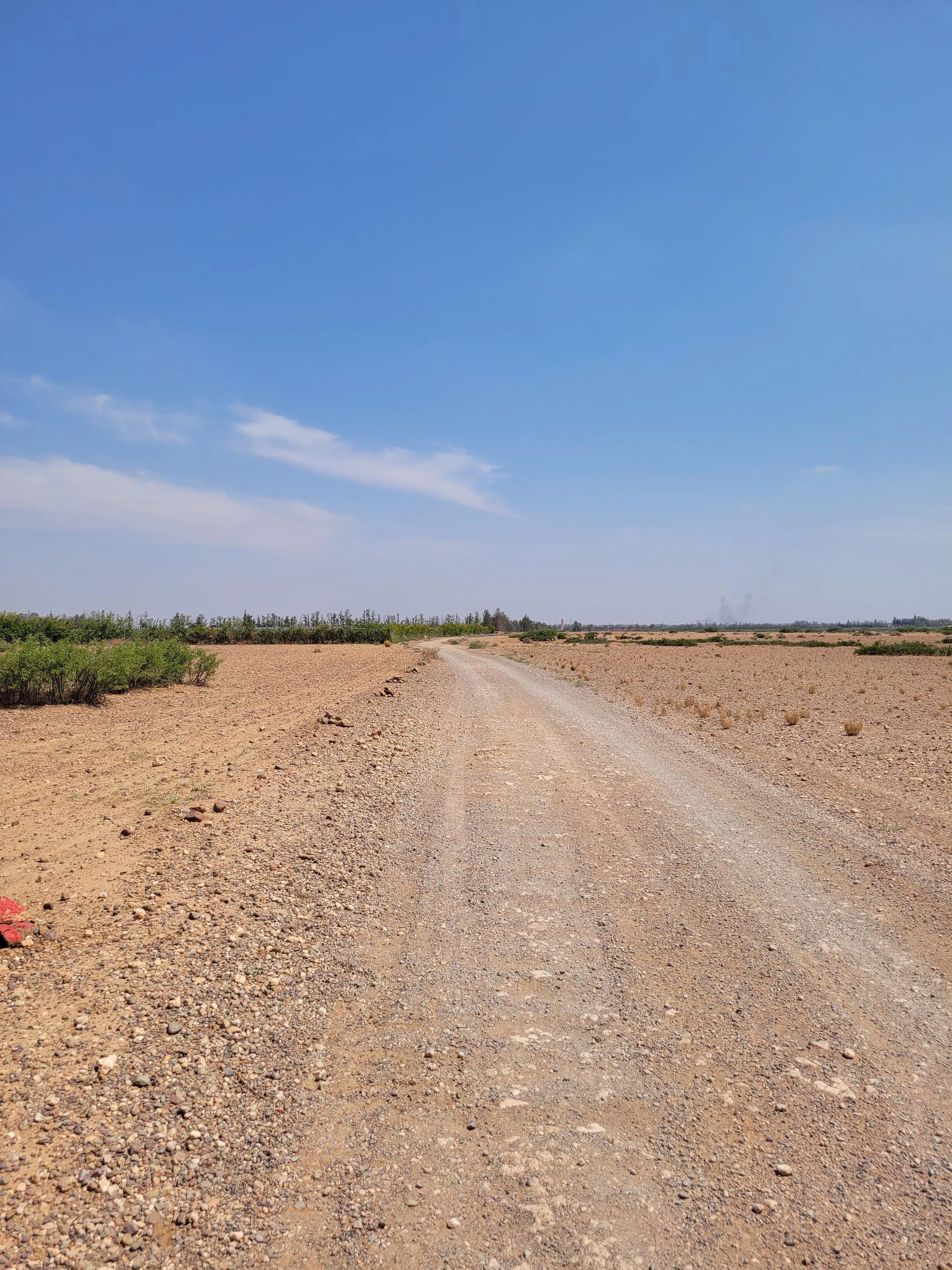Terrains de 5 hectares en réquisition Rte Amizmiz - مراكش (2)