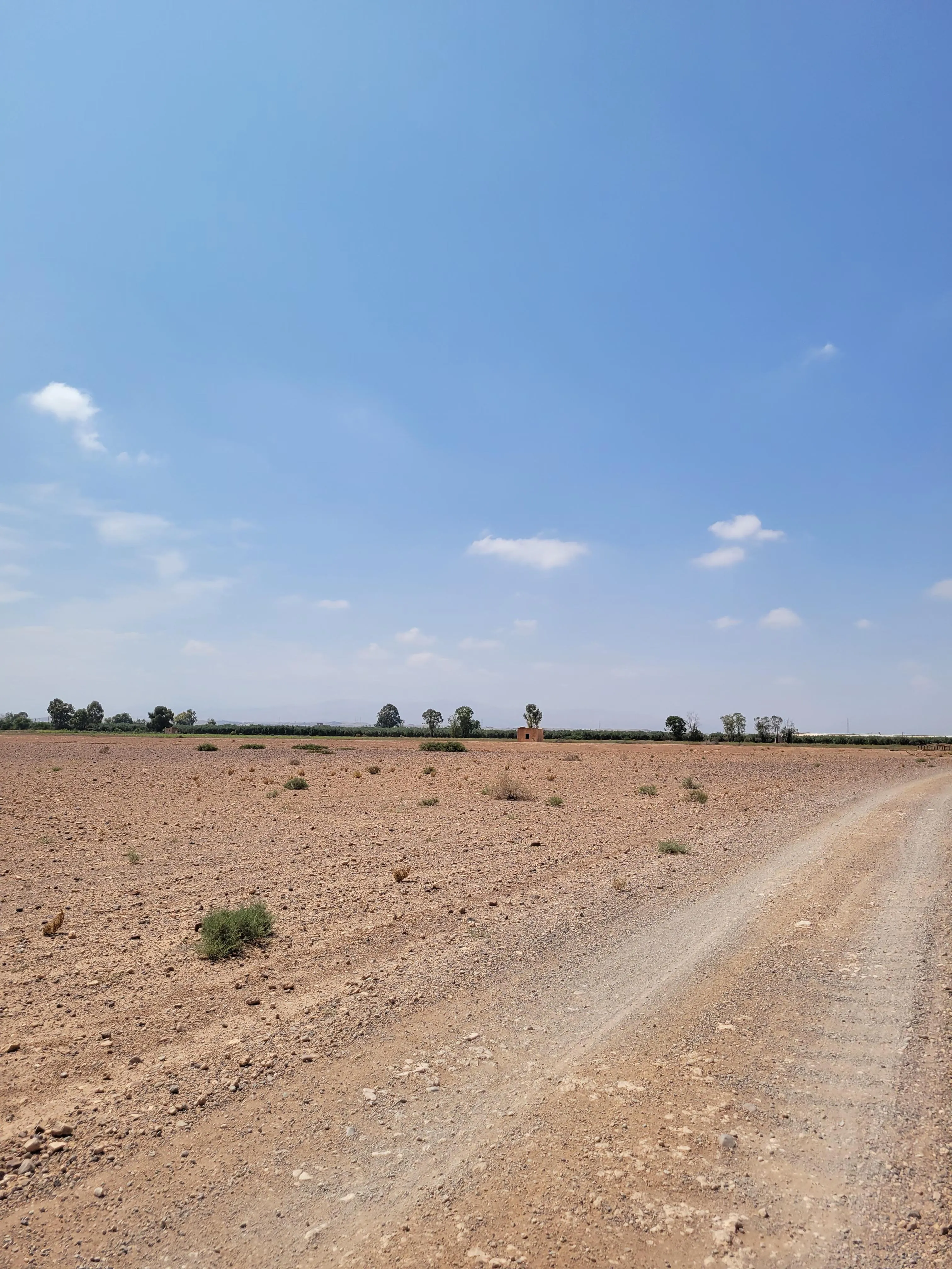 Terrains de 5 hectares en réquisition Rte Amizmiz - مراكش (3)