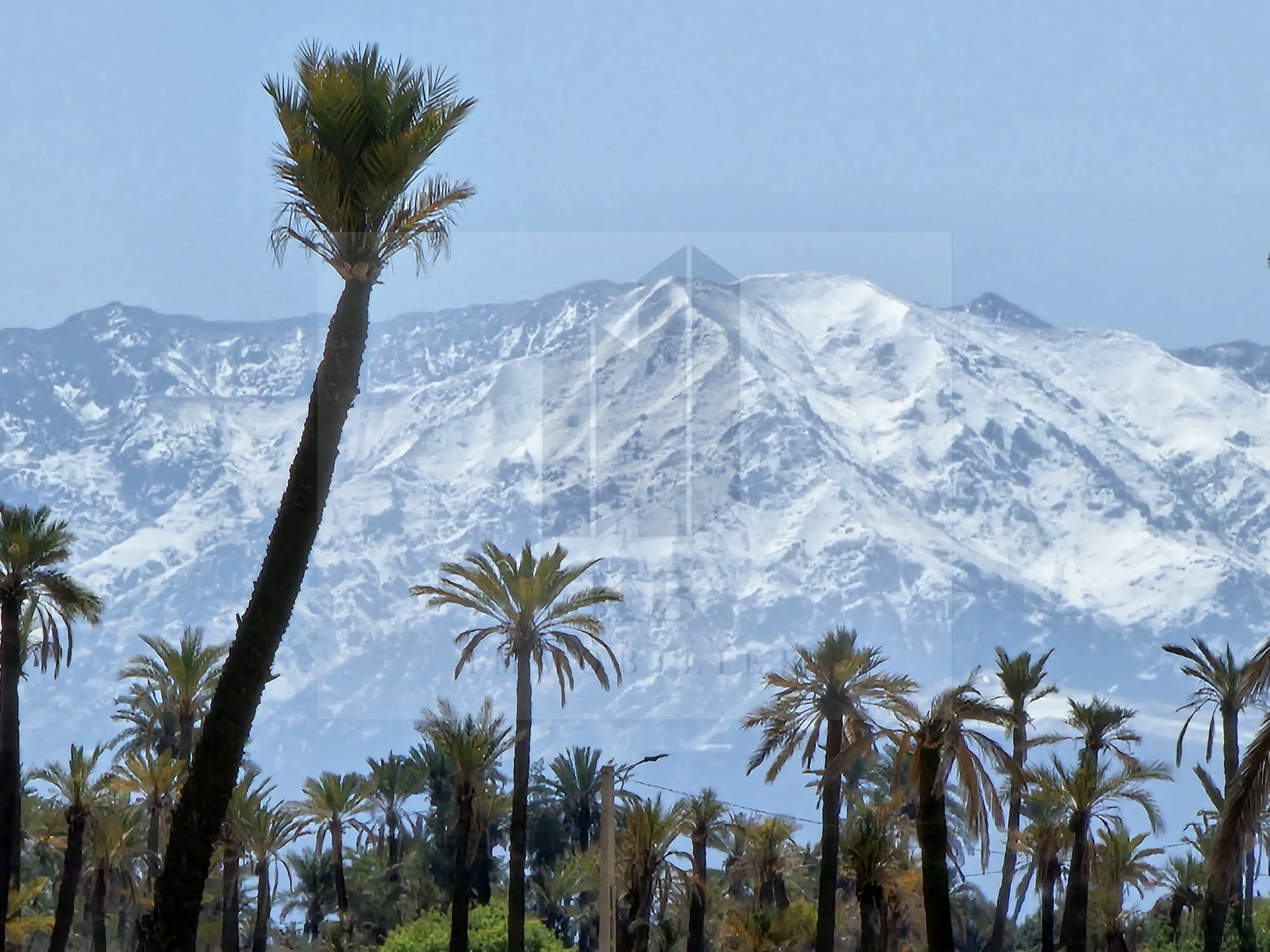 Terrain 1,5 Ha pour Projet Immobilier Rt de l'Ourika - مراكش