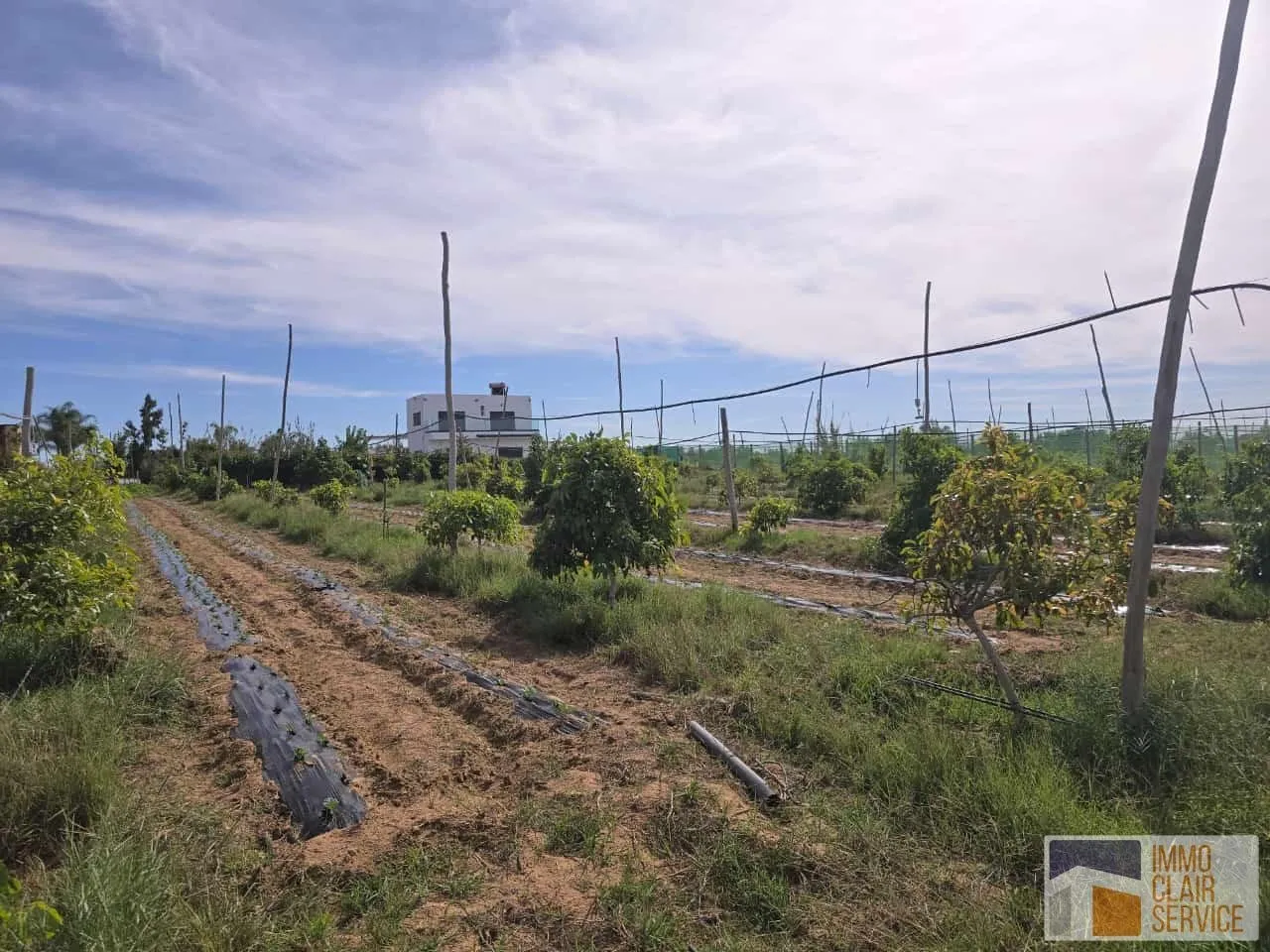 Coquette ferme bien située à vendre - kamouni - الرباط (3)