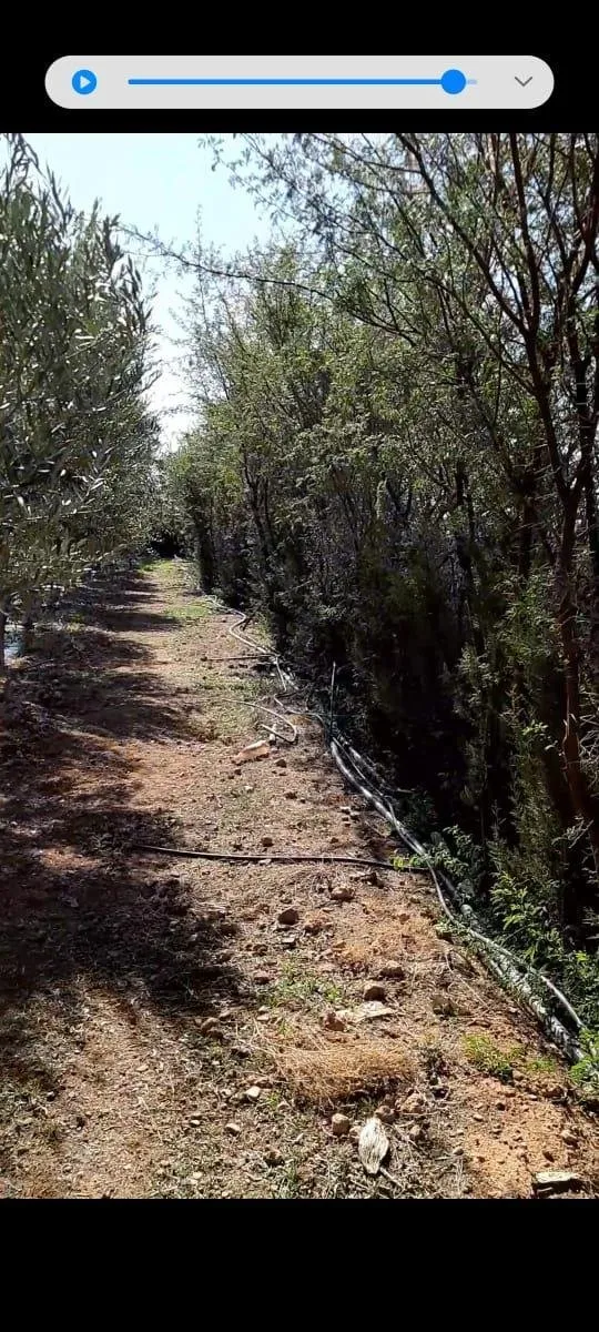 Ferme titrée d'un hectare à  Bouros - مراكش (2)