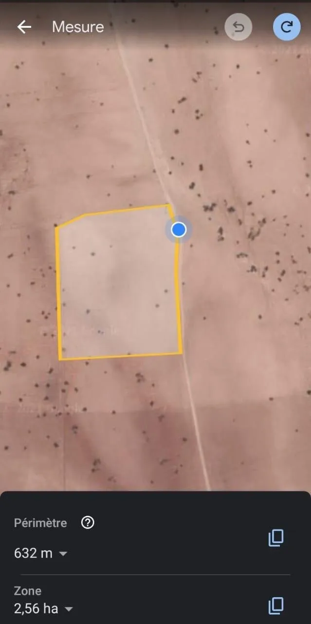 Terrain titré de 2.6 hectares à Bouros - مراكش (2)