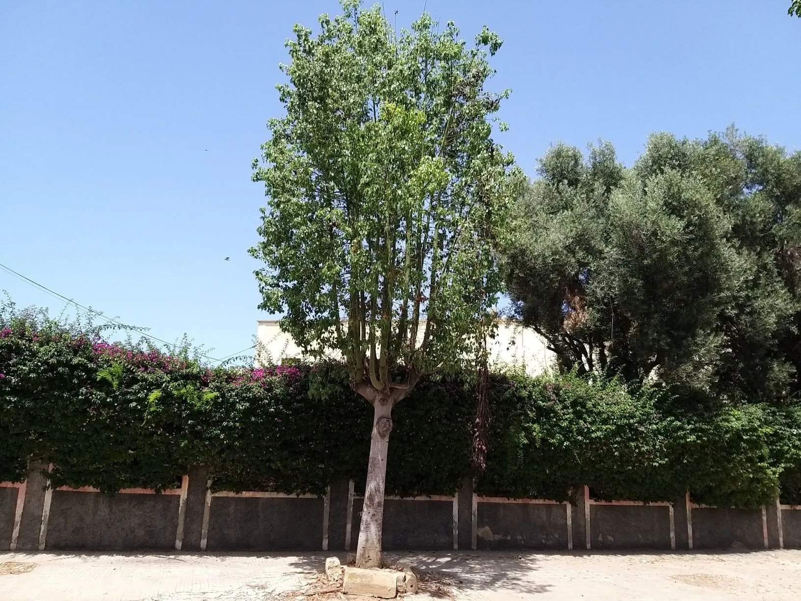 Vente terrain Casablanca - الدار البيضاء