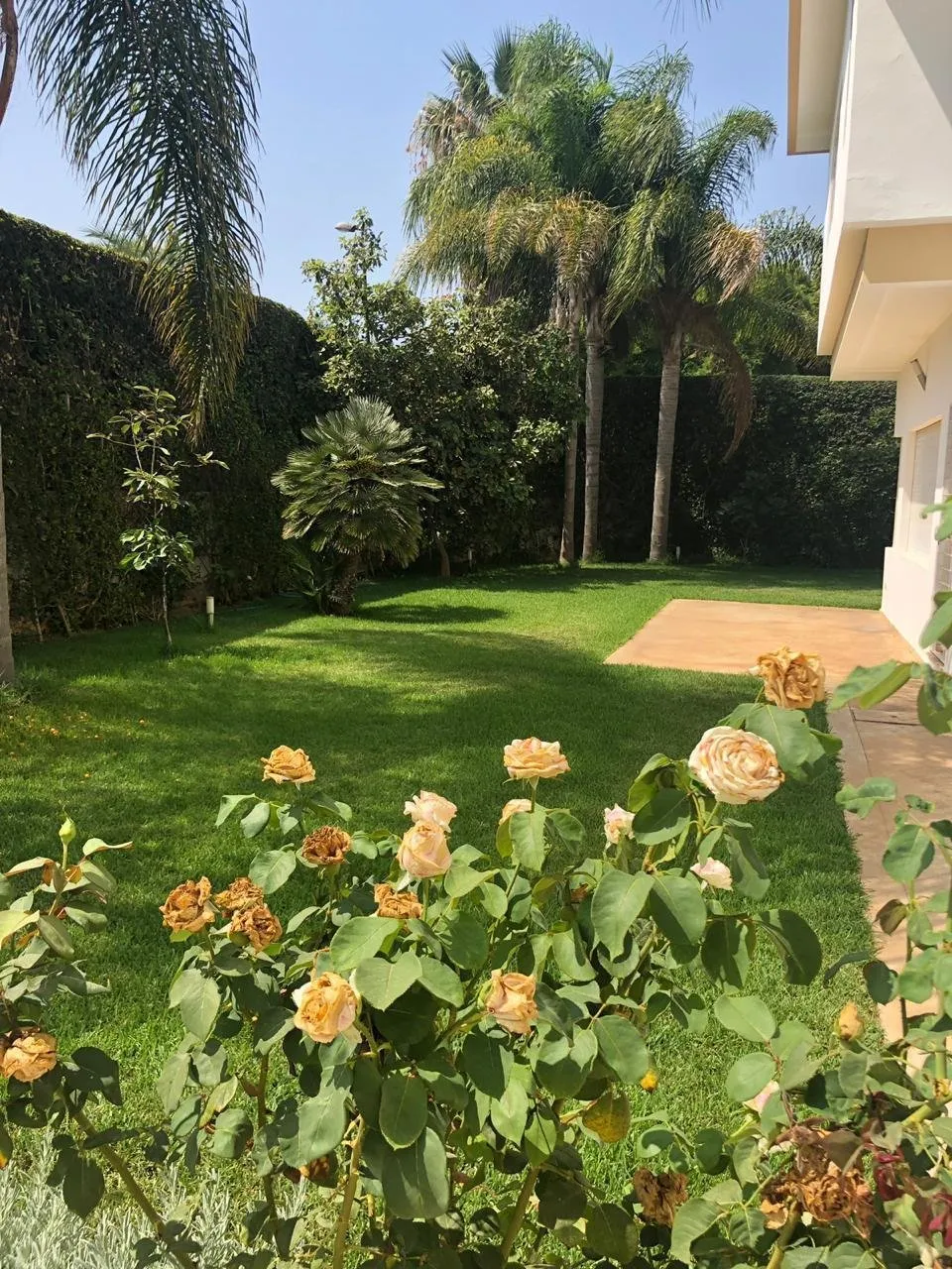villa unique aux ambassadeurs - الرباط (2)