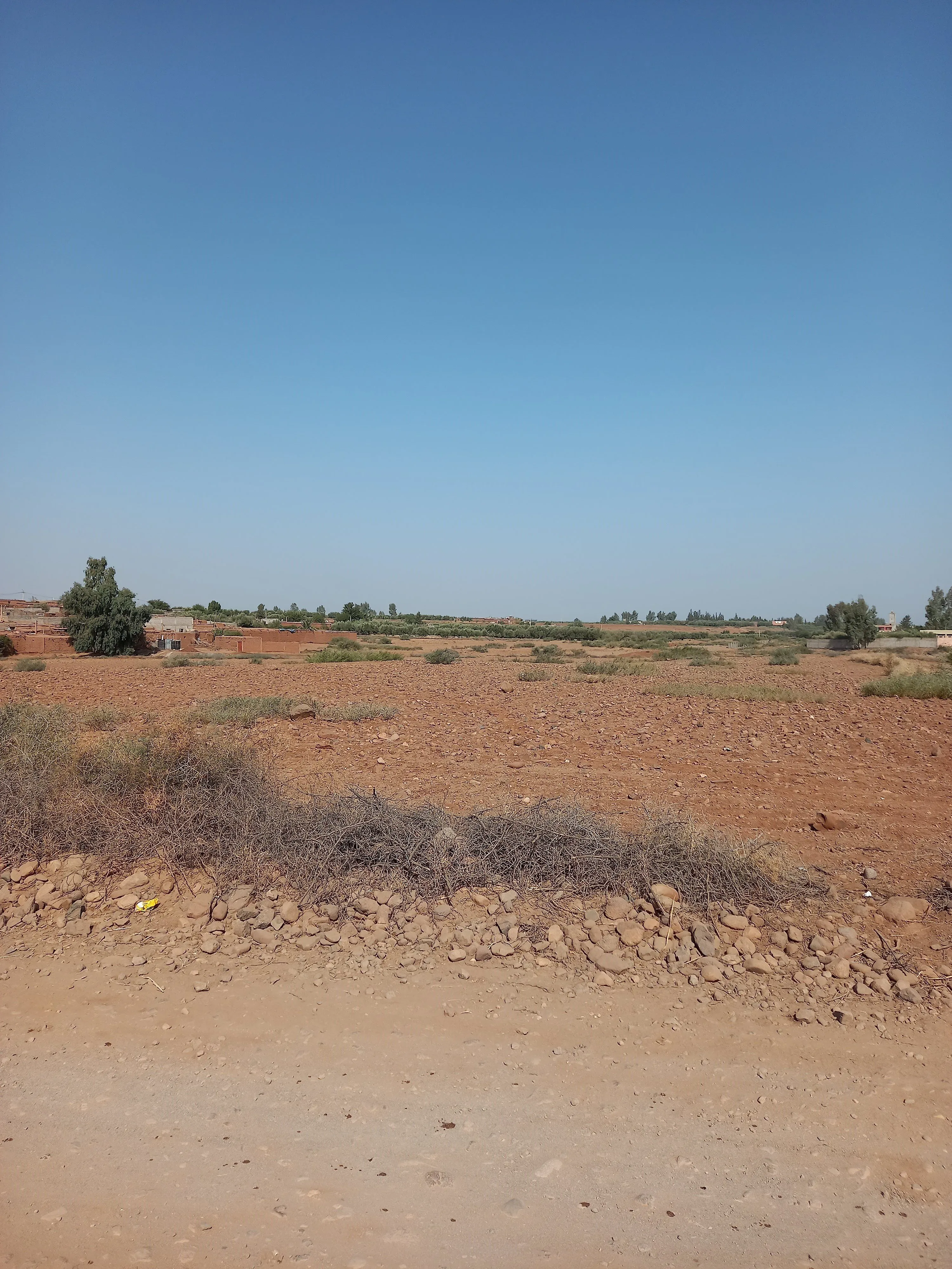 Terrain de 13.5H à 20 km de Marrkech Rte Ourika - مراكش (2)
