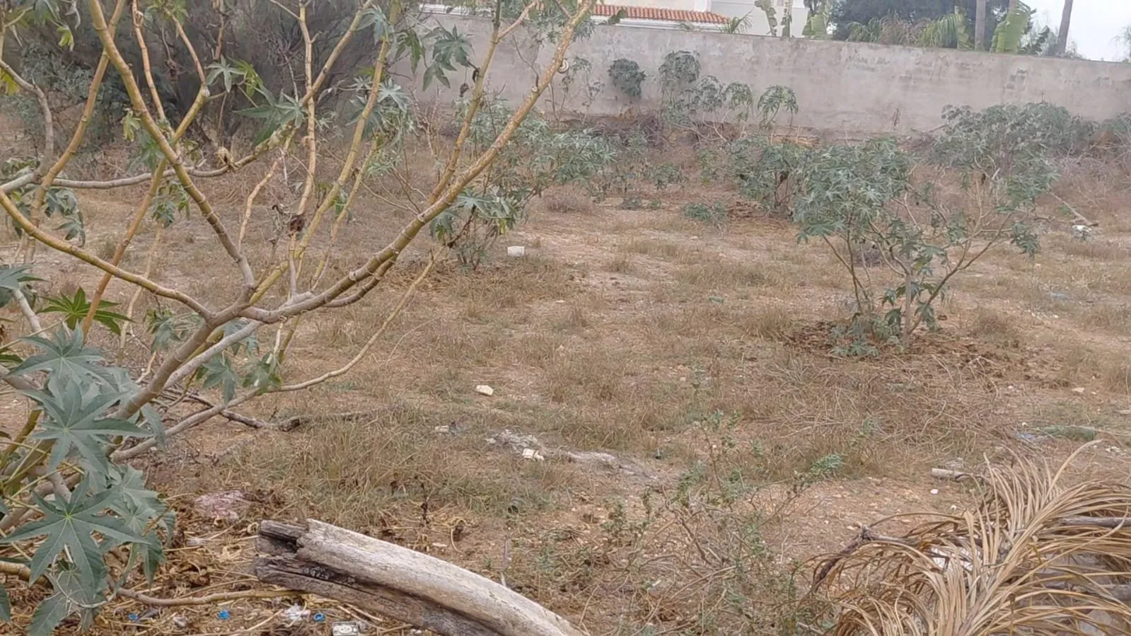 GRAND TERRAIN - الدار البيضاء (3)