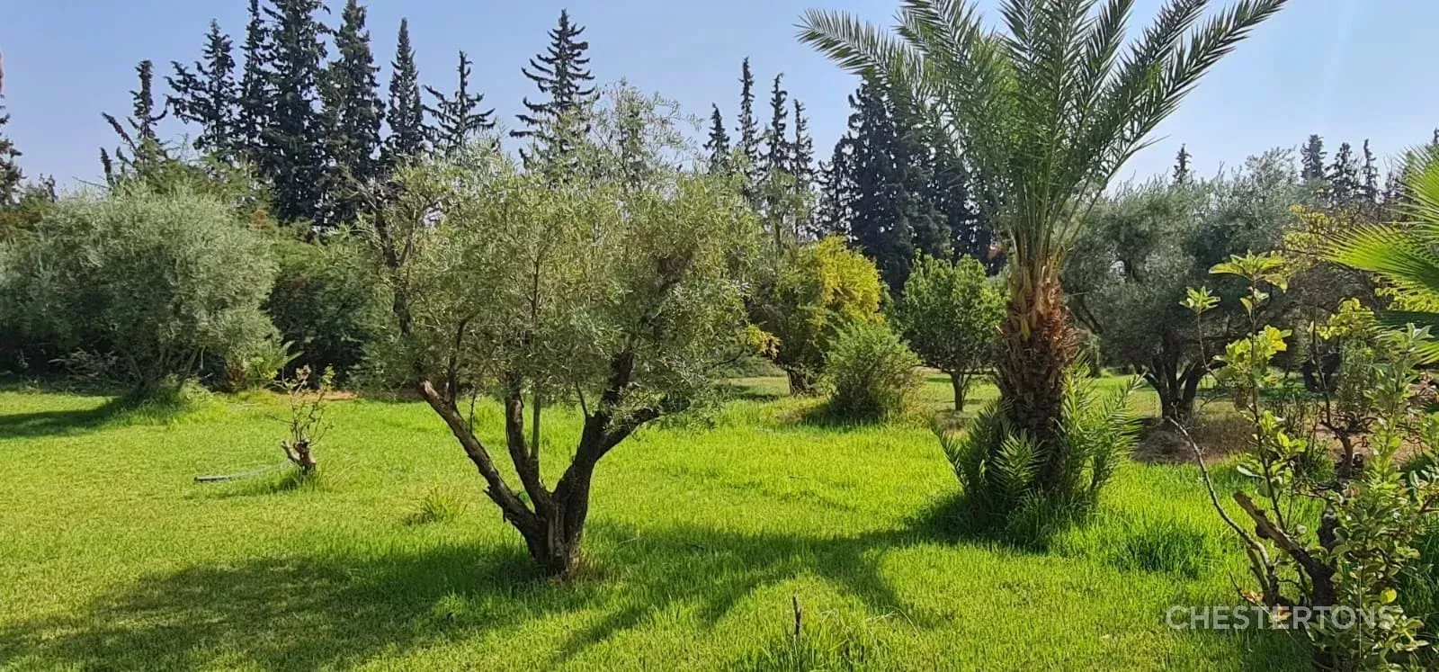 3 villas sur 11000 m2 kms route de Ouarzazate Marrakech - مراكش (2)