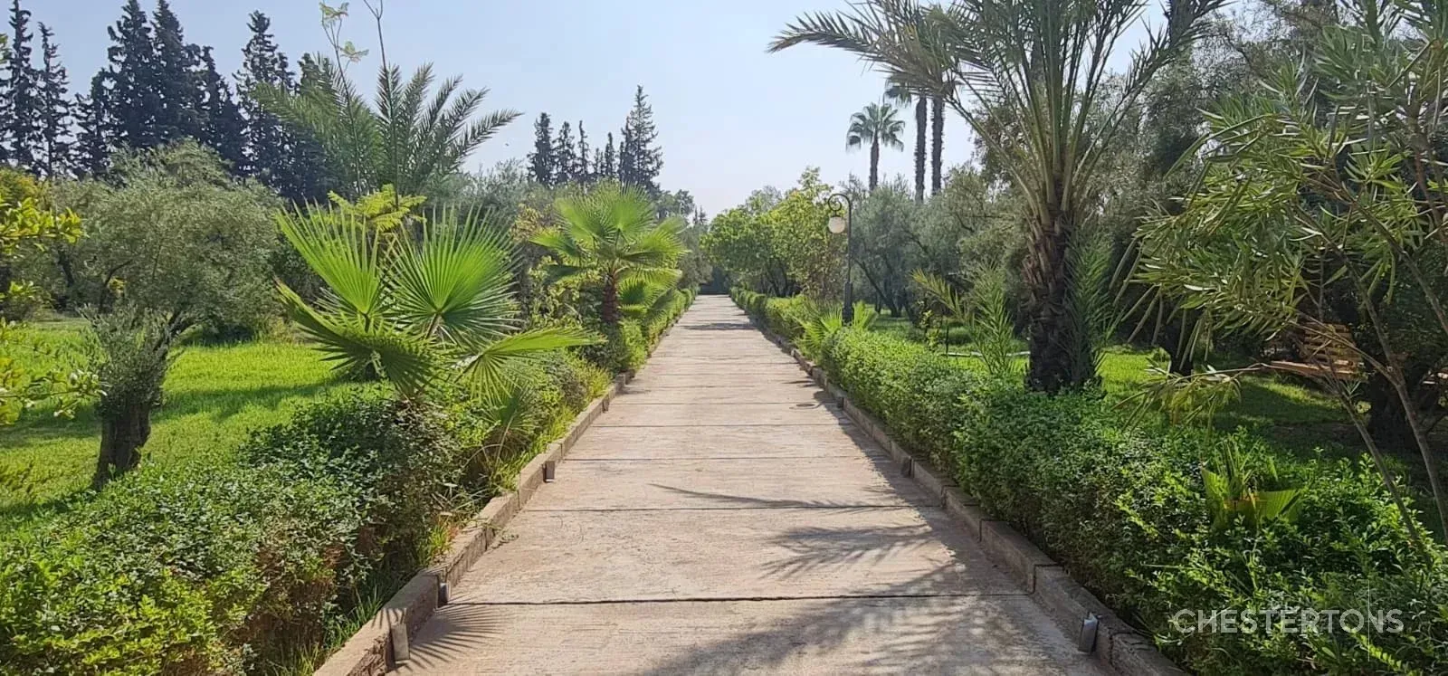 3 villas sur 11000 m2 kms route de Ouarzazate Marrakech - مراكش (3)