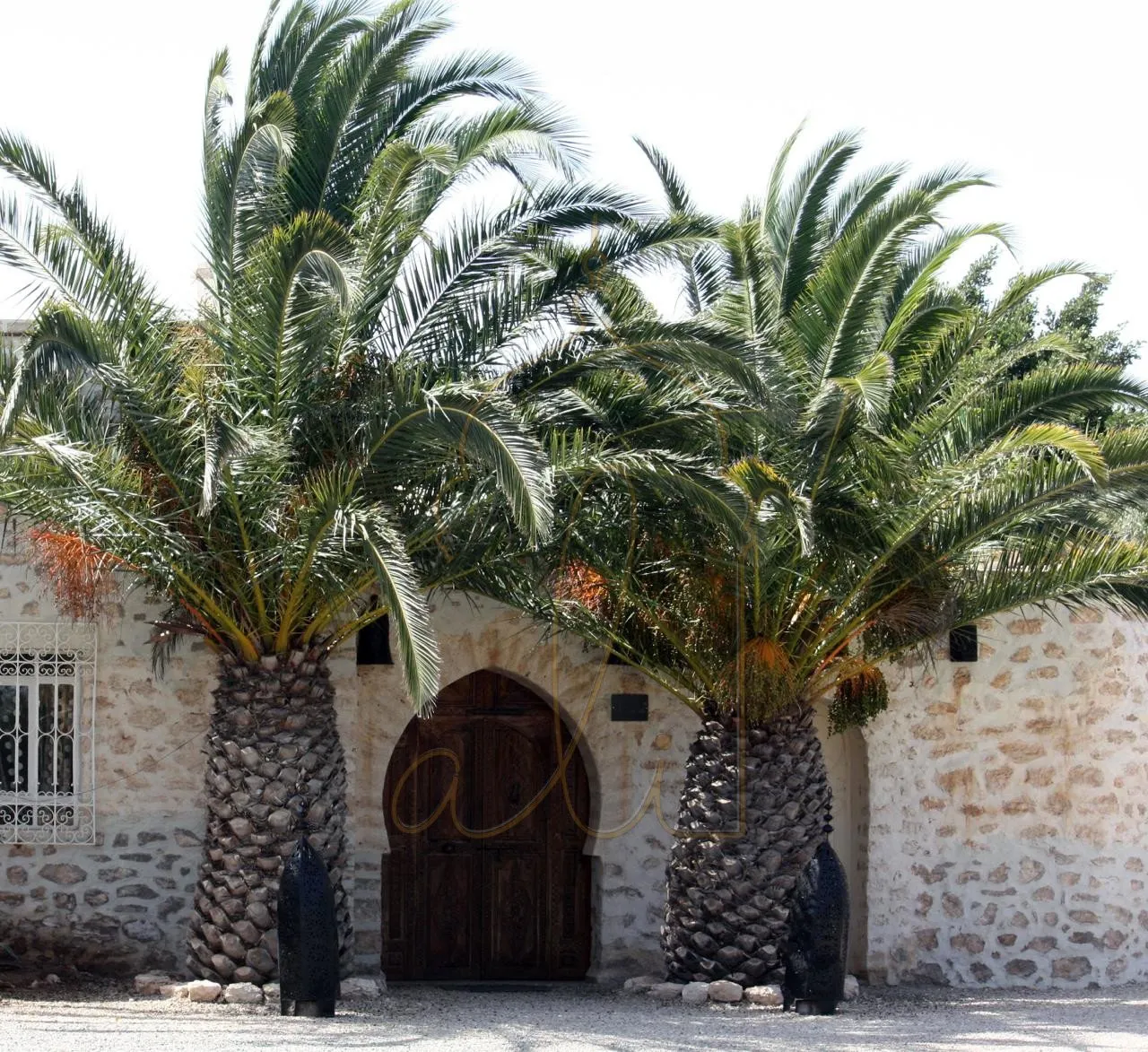 Guesthouse with AVNA - Titled - Quiet Area - الصويرة (2)