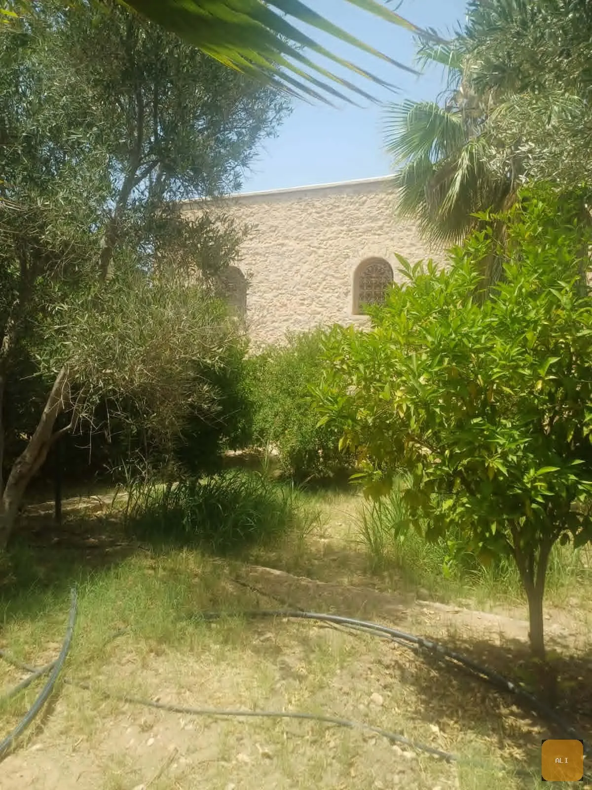 Titled villa in a rural area without AVNA - pool - 20 min from Essaouira - الصويرة (2)