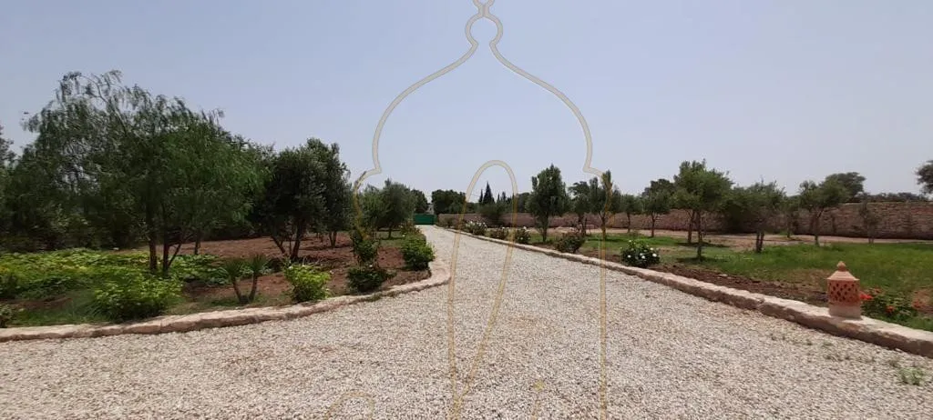 20 km from Essaouira - Rural Area - Titled Guesthouse - الصويرة (3)