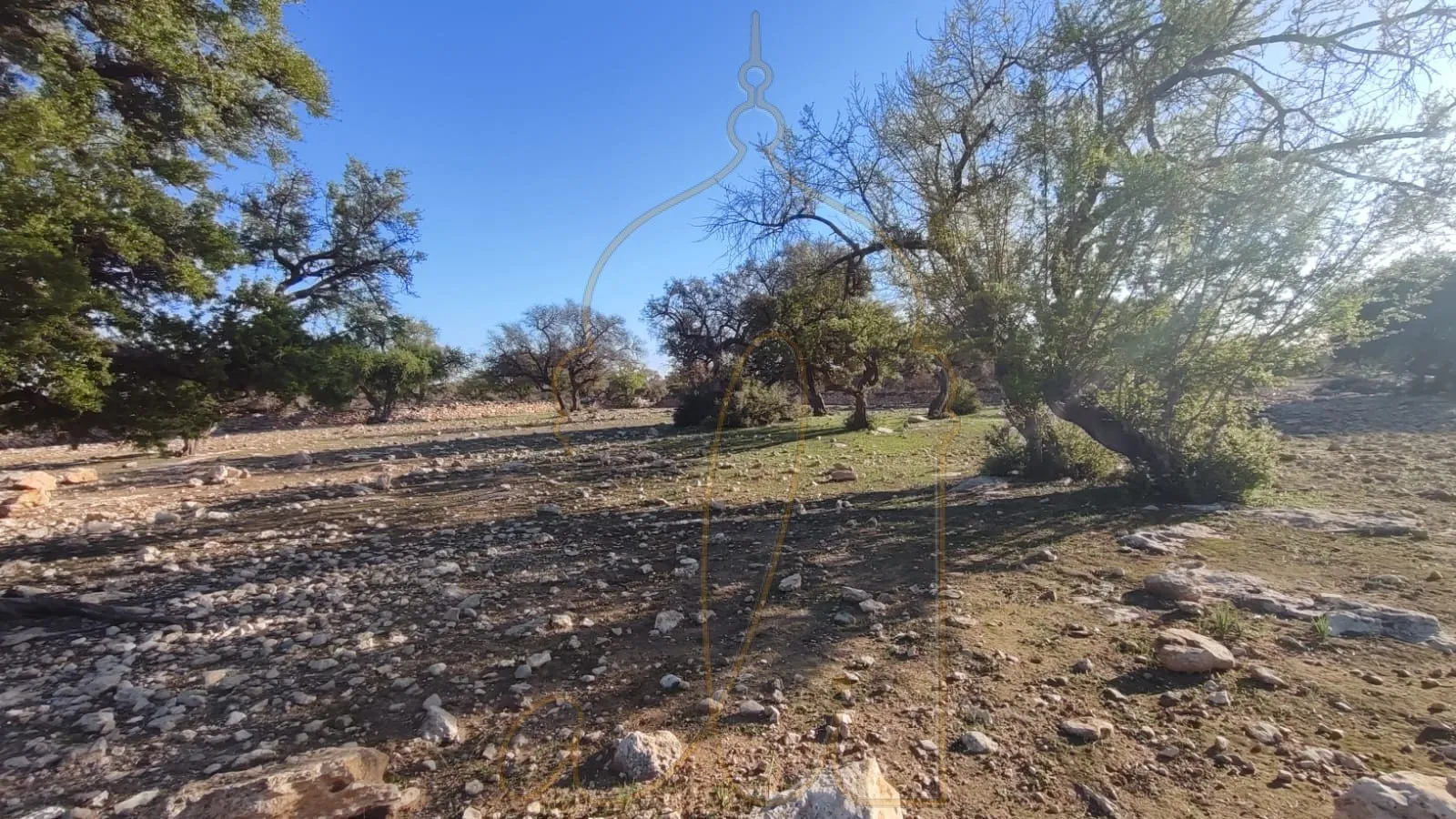 Buildable land - 20 min from Essaouira - rural area - الصويرة