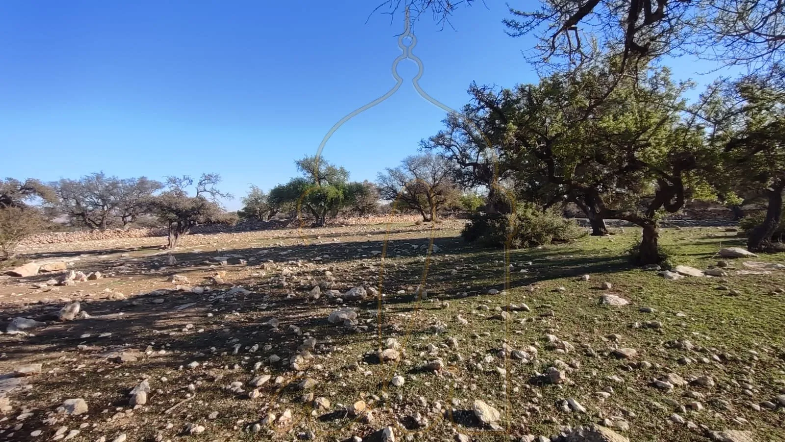 Buildable land - 20 min from Essaouira - rural area - الصويرة (2)