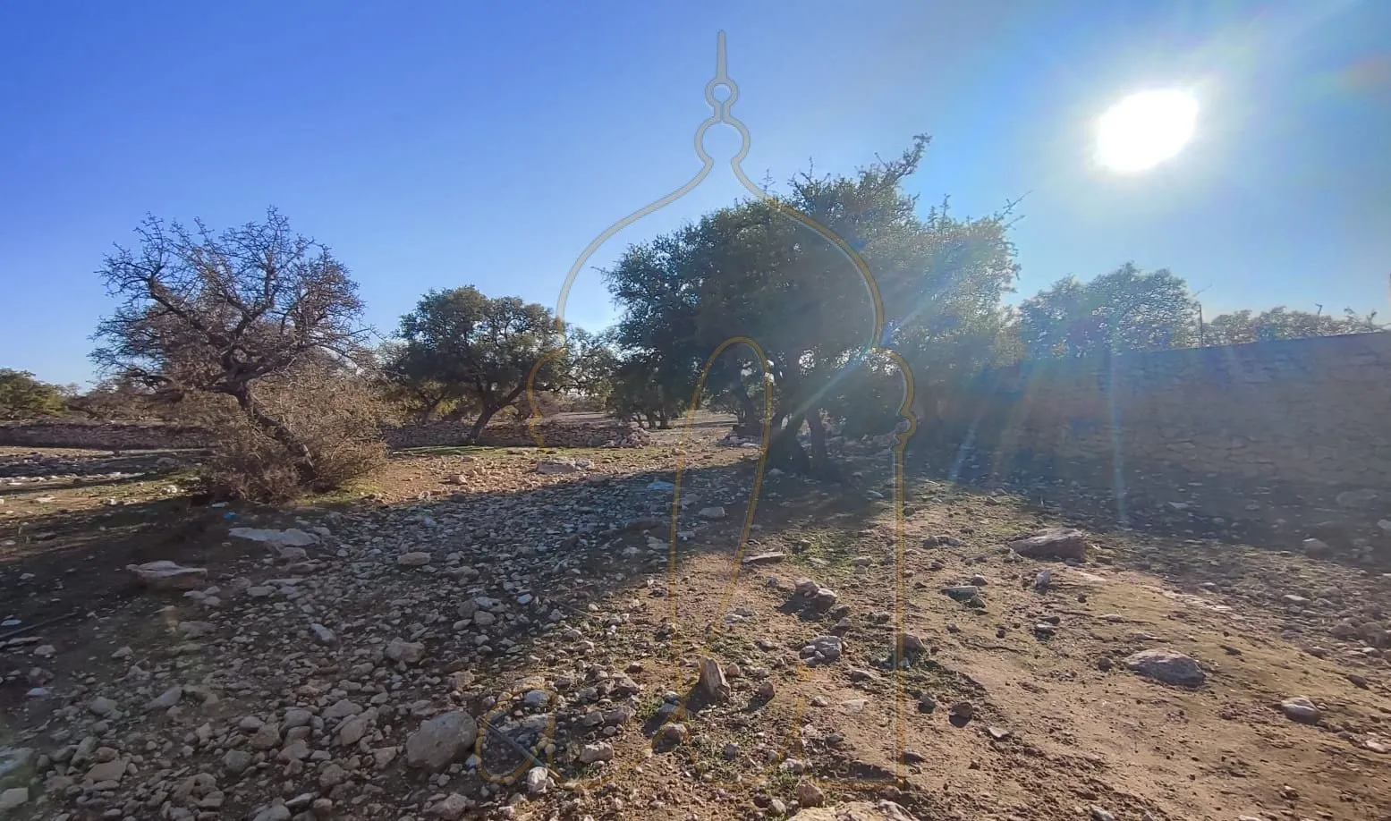 Buildable land - 20 min from Essaouira - rural area - الصويرة (3)