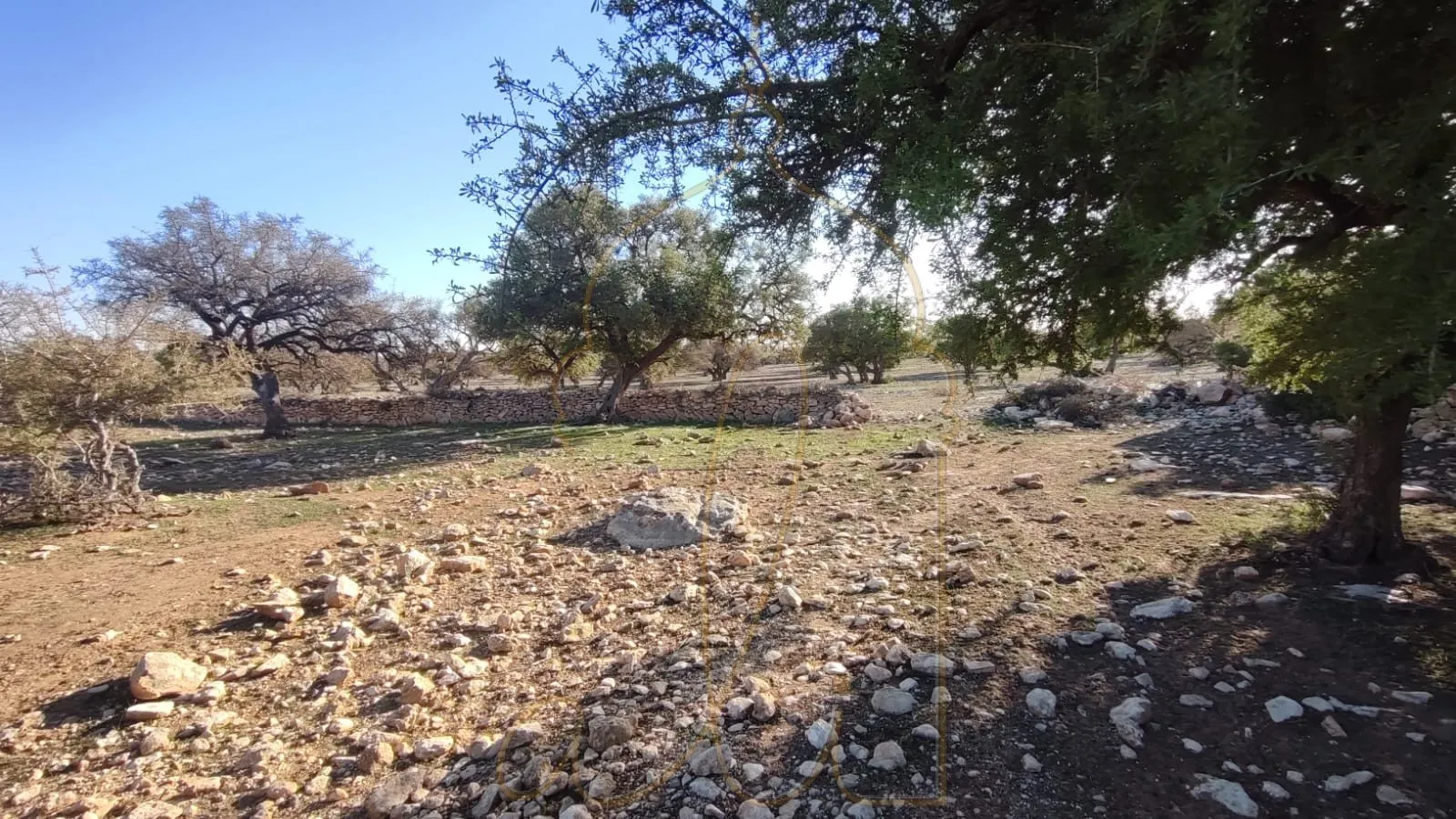 Buildable land - 20 min from Essaouira - rural area - الصويرة (4)