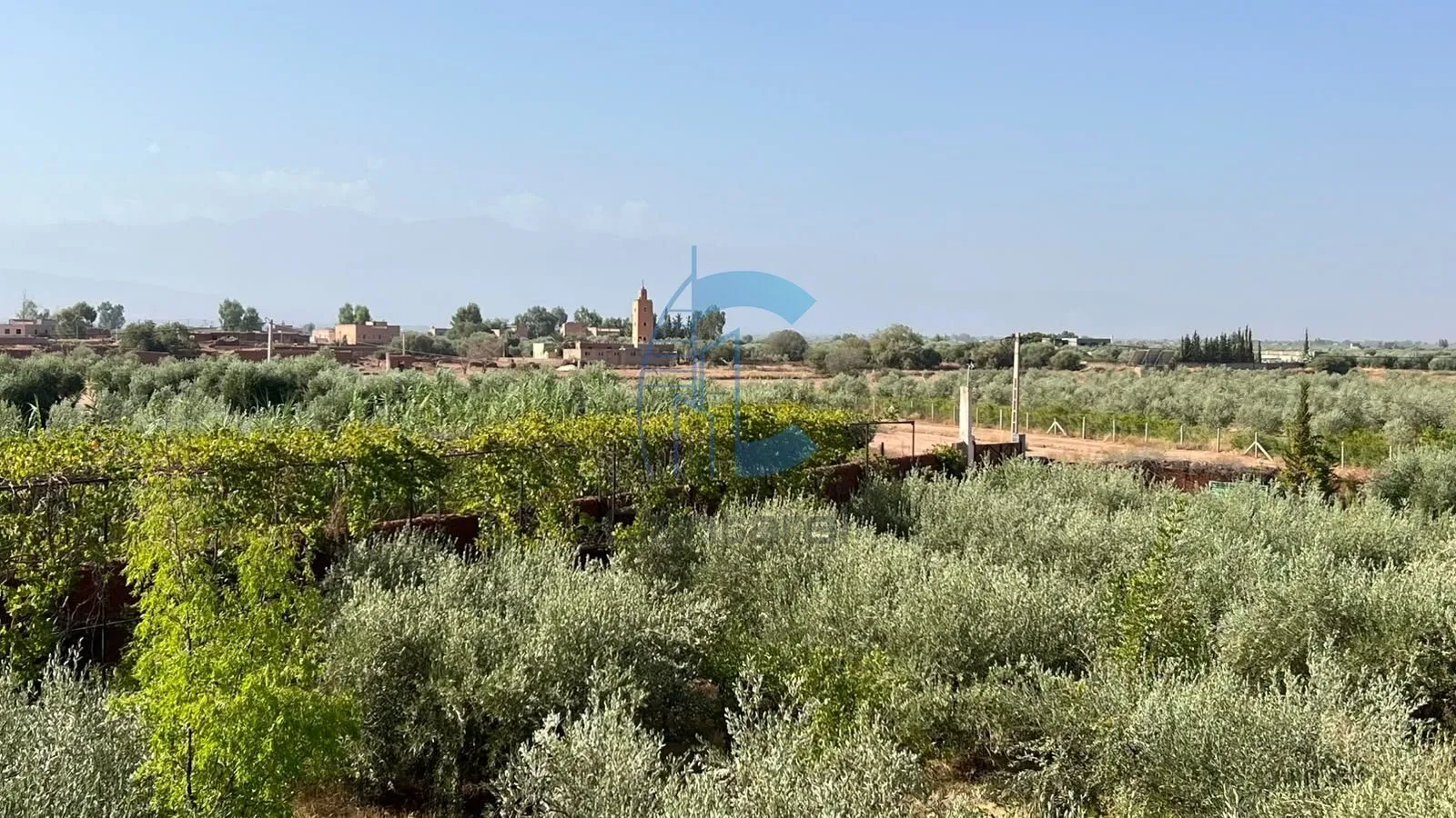 VILLA-RIAD DE PLAIN-PIED 5 À 7 CHAMBRES 27 493 M² DE TERRAIN AVEC DOMAINE OLIVERAIE À VENDRE - SIDI ABDELLAH GHIAT - مراكش (2)
