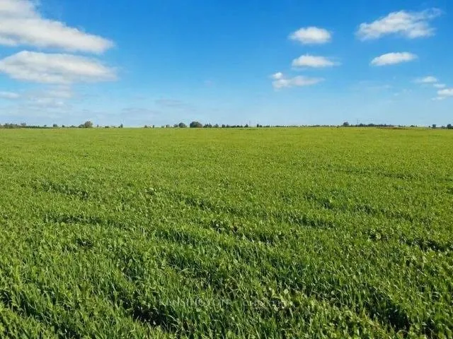 Terrain agricole 1 Hectare Benslimane 1,7MDH - بن سليمان