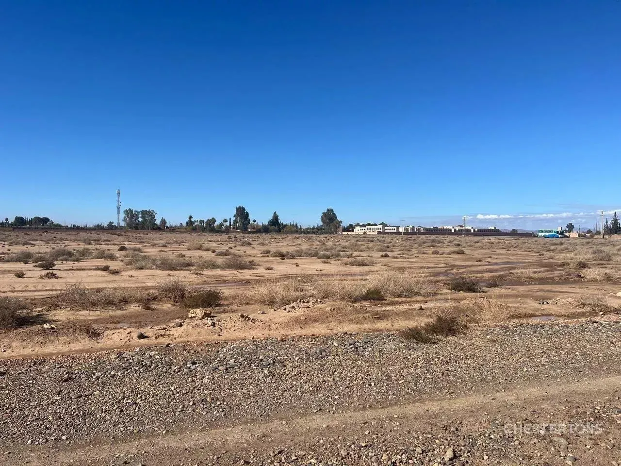 Terrain Pour Hotel de 5,8 ha à la Palmeraie Marrakech - مراكش