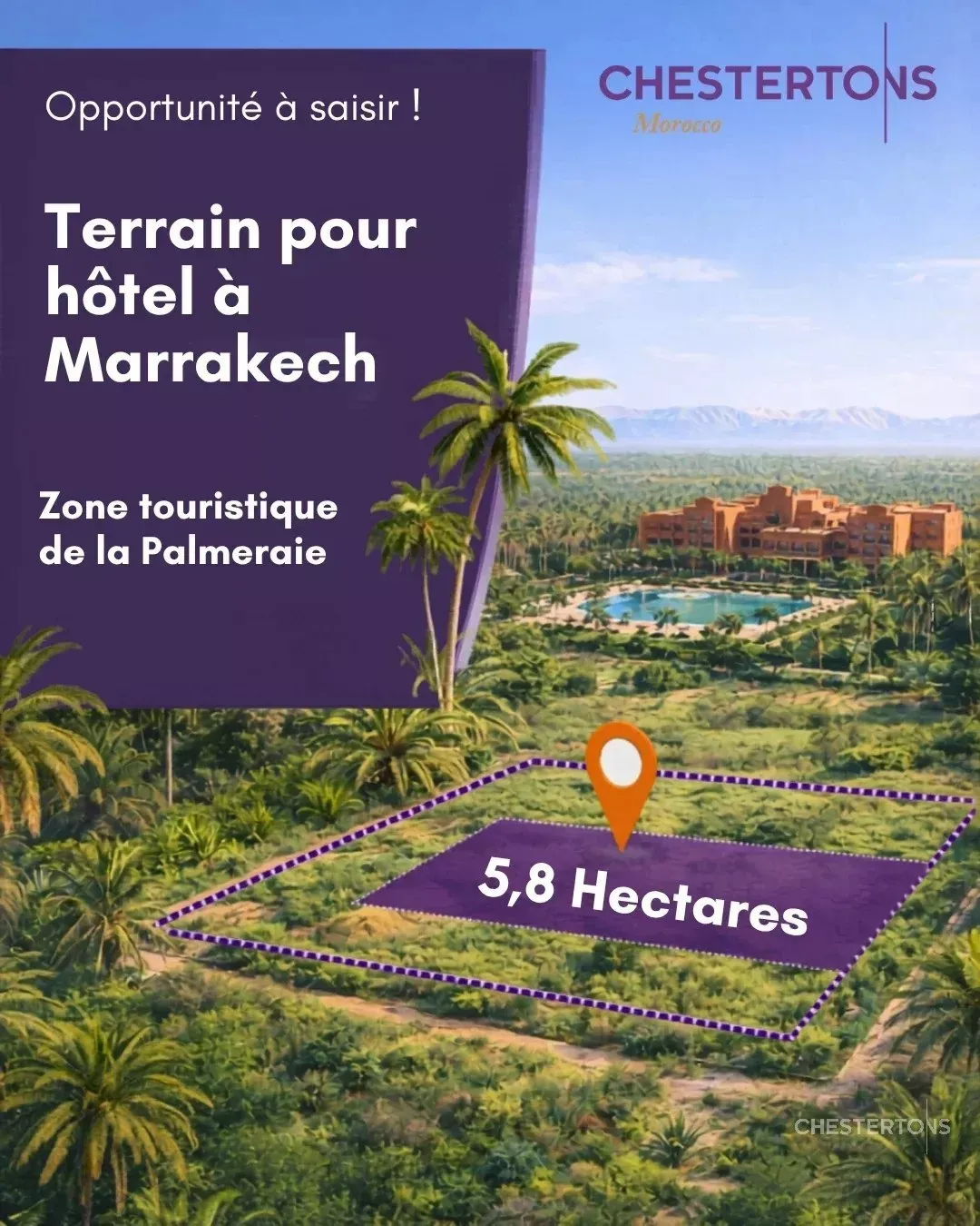 Terrain Pour Hotel de 5,8 ha à la Palmeraie Marrakech - مراكش (2)