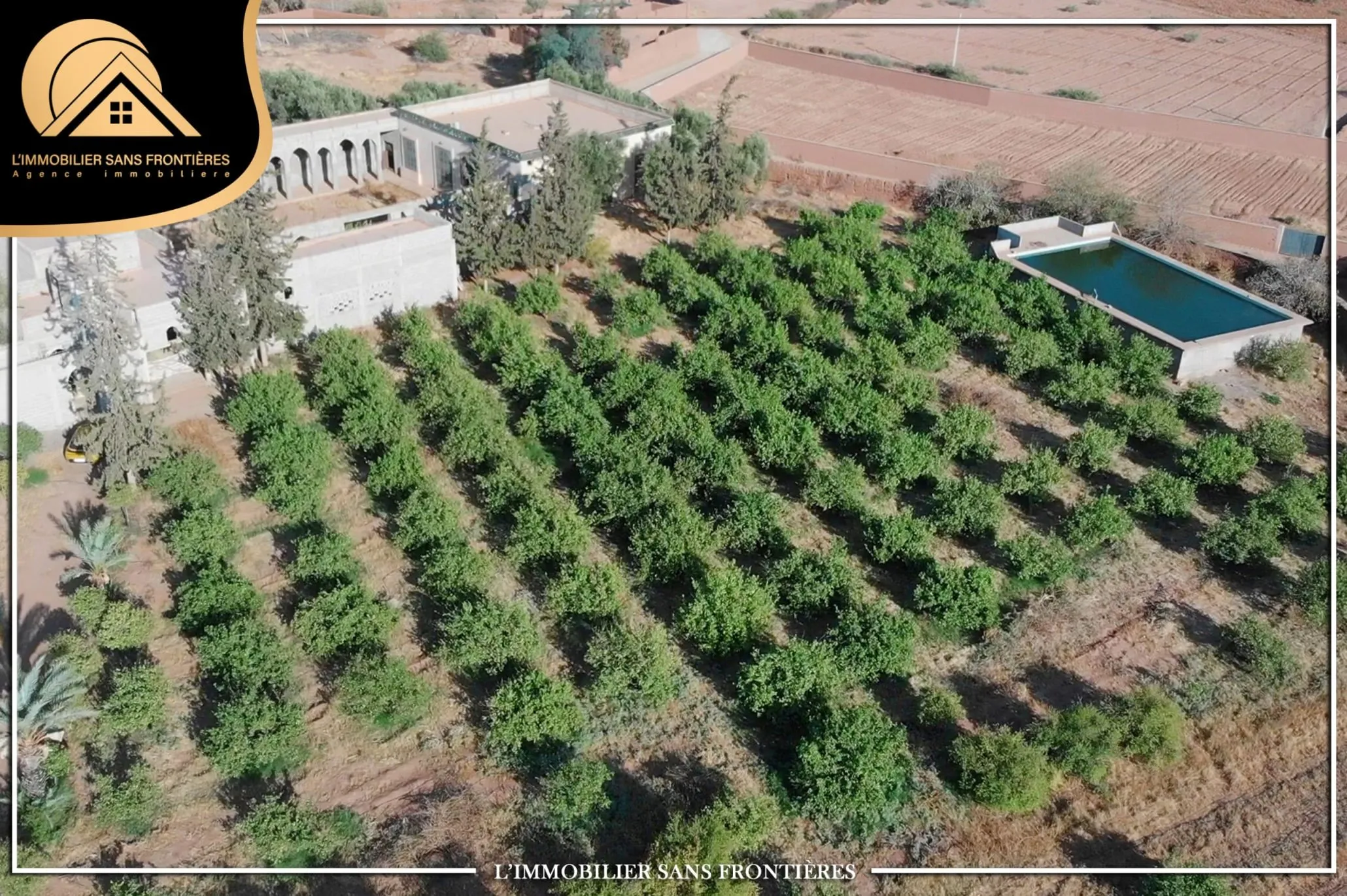 Ferme titré à Route Fès km 22, puit 117 m + système goutte à goutte, Marrakech : à vendre - مراكش