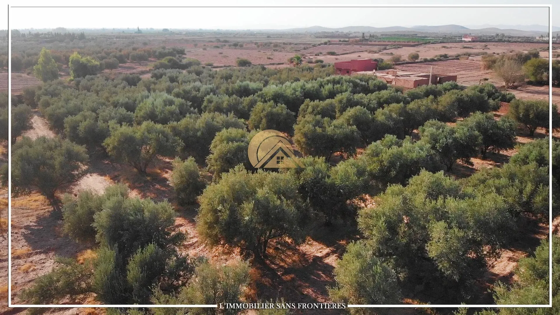 Ferme titré à Route Fès km 22, puit 117 m + système goutte à goutte, Marrakech : à vendre - مراكش (3)