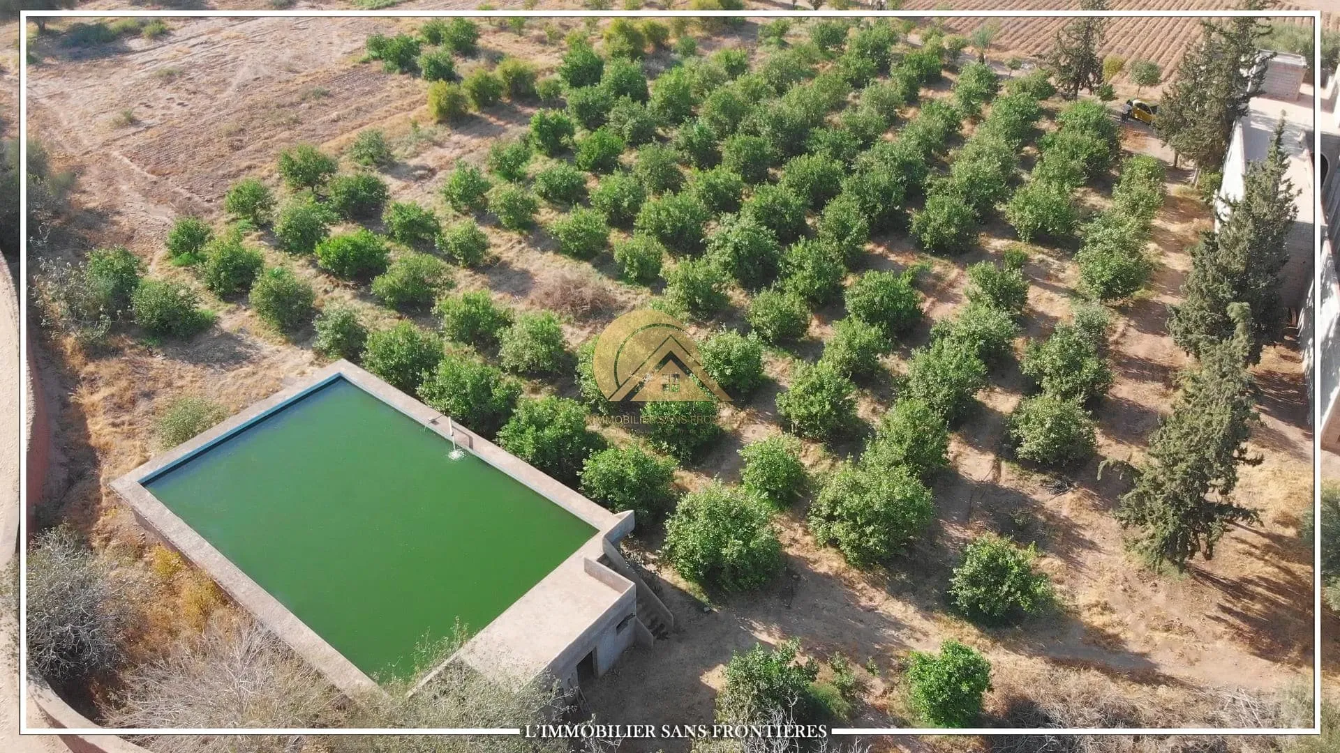 Ferme titré à Route Fès km 22, puit 117 m + système goutte à goutte, Marrakech : à vendre - مراكش (4)