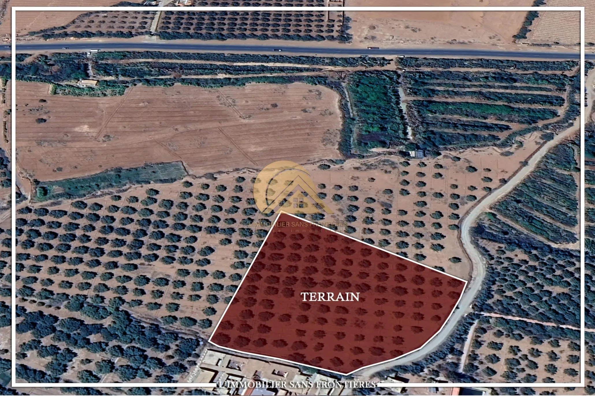 Terrain RA à vendre à Route Ourika km 23, 1 hectare, Marrakech - مراكش (3)