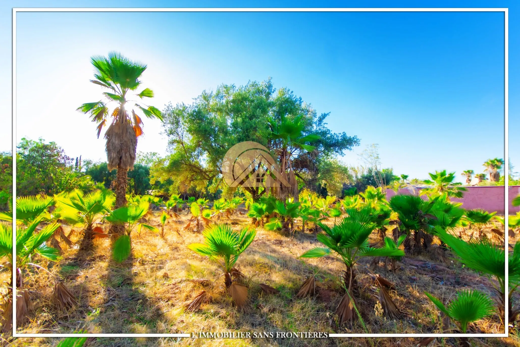 Villa à vendre — Titré – Route d’Ourika km 31, Marrakech - مراكش (4)