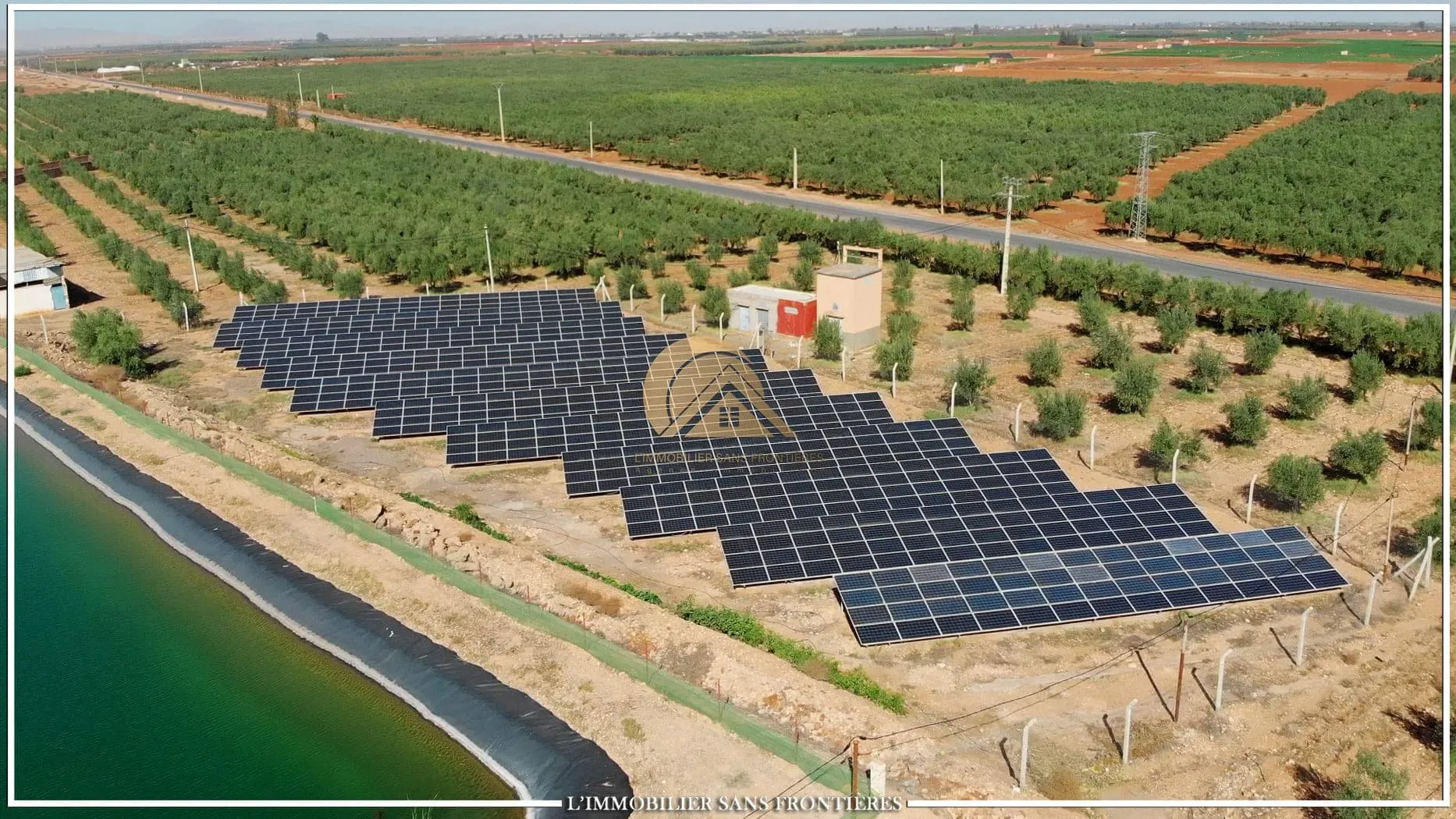 Ferme à Tamalalt, 59 000 oliviers + 5 puits, Marrakech : à vendre - مراكش (4)