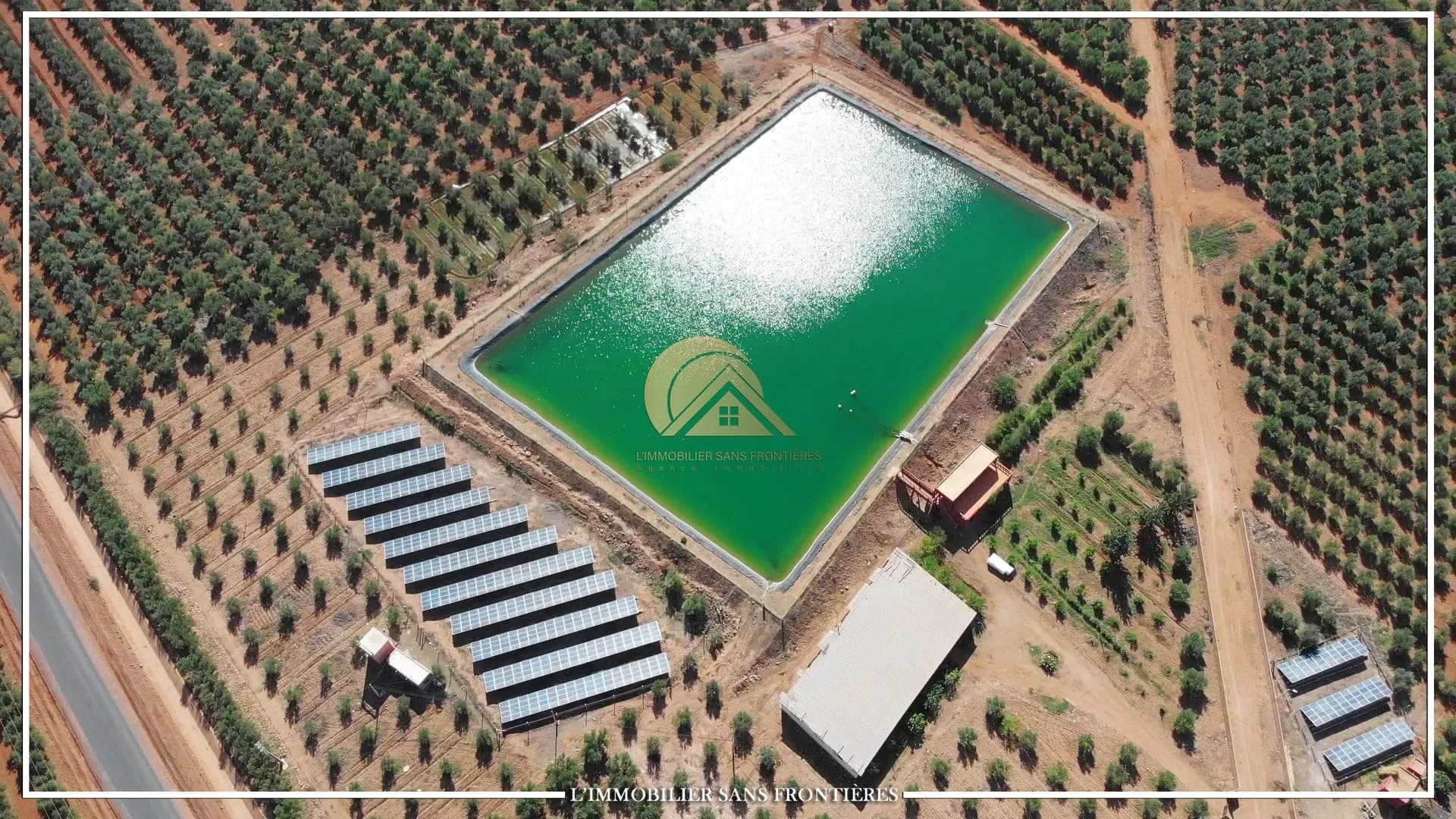 Ferme à Tamalalt, 59 000 oliviers + 5 puits, Marrakech : à vendre - مراكش (3)