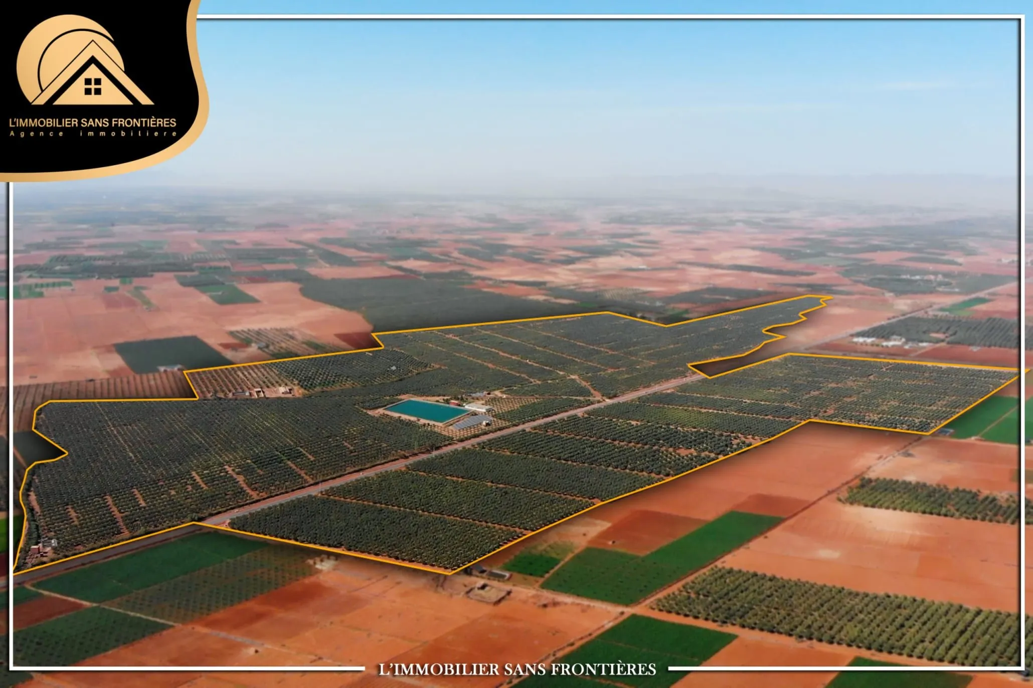 Ferme à Tamalalt, 59 000 oliviers + 5 puits, Marrakech : à vendre - مراكش