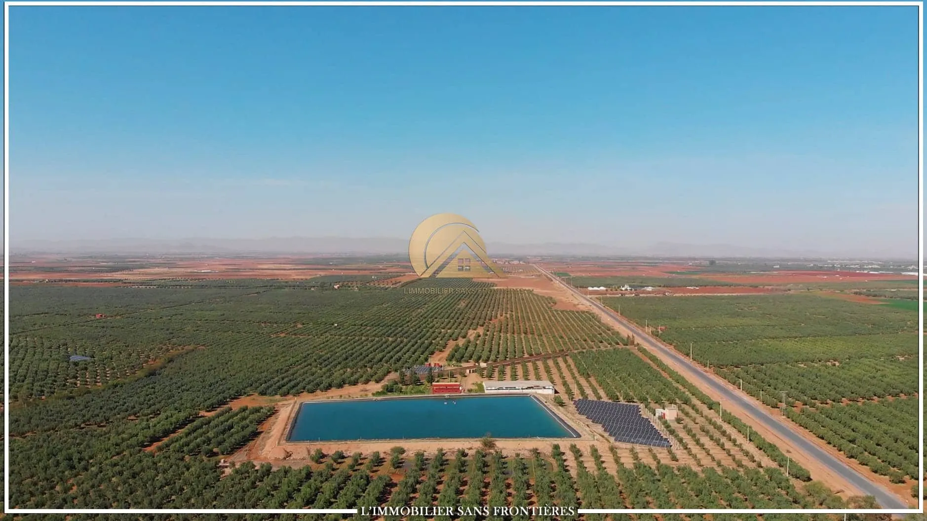 Ferme à Tamalalt, 59 000 oliviers + 5 puits, Marrakech : à vendre - مراكش (2)