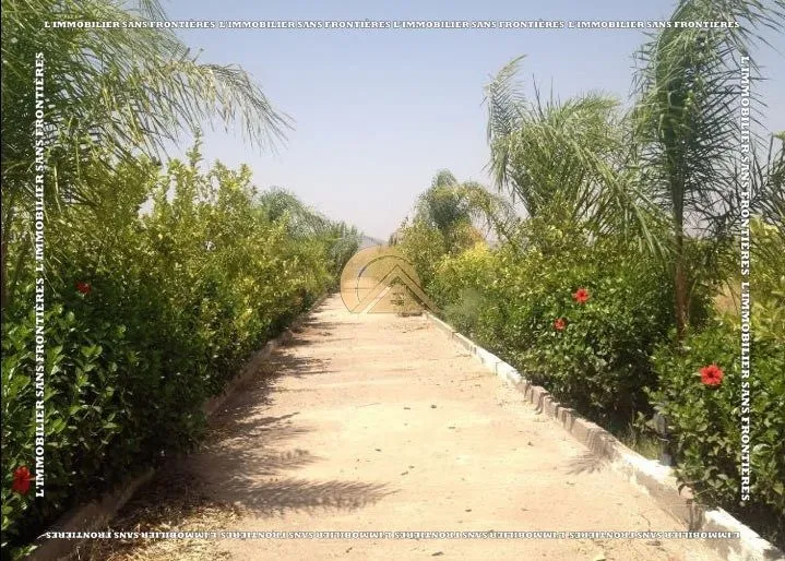Ferme agricole à vendre — 3 hectares 5700m² – Route de Fes Km 25, Marrakech - مراكش (3)