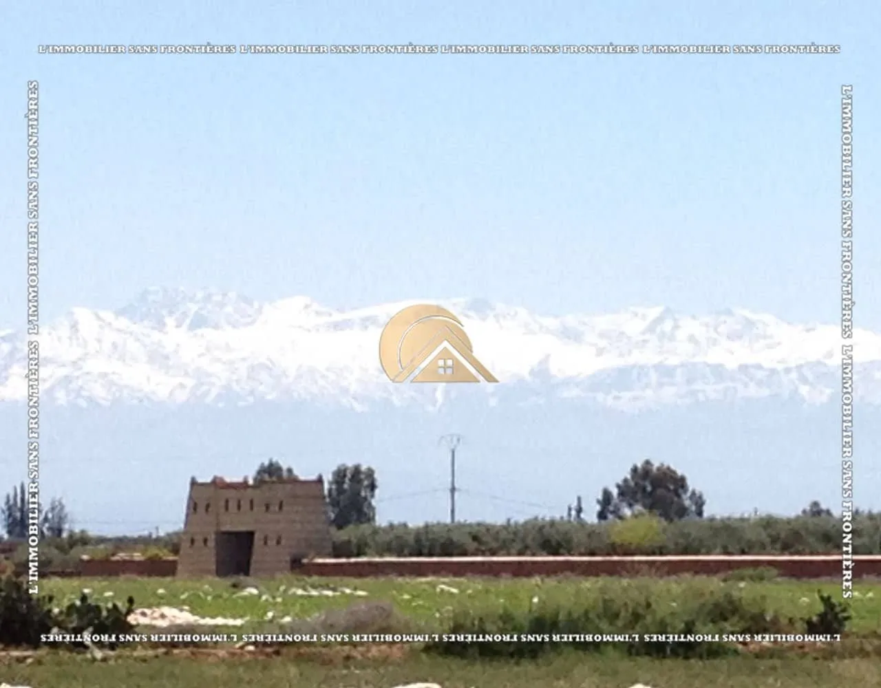 Ferme agricole à vendre — 3 hectares 5700m² – Route de Fes Km 25, Marrakech - مراكش (2)