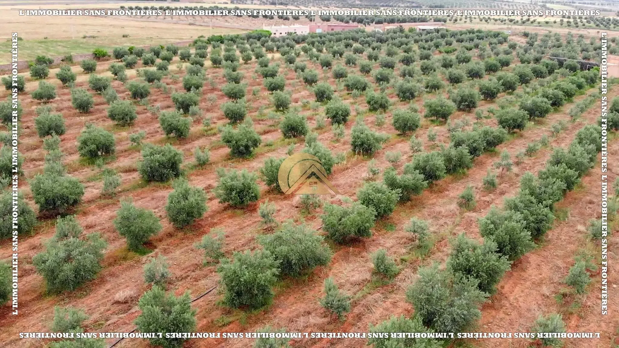 Ferme à vendre à Route d’Amizmiz km 48, 39 363 m², Marrakech - مراكش (4)