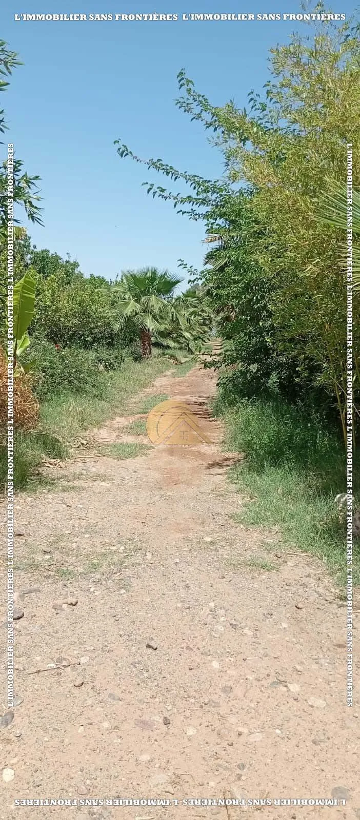 Ferme Agricole Melkia à Vendre de 2 Hectares 5 000 m² – Route de Fés Km 20 - مراكش (3)