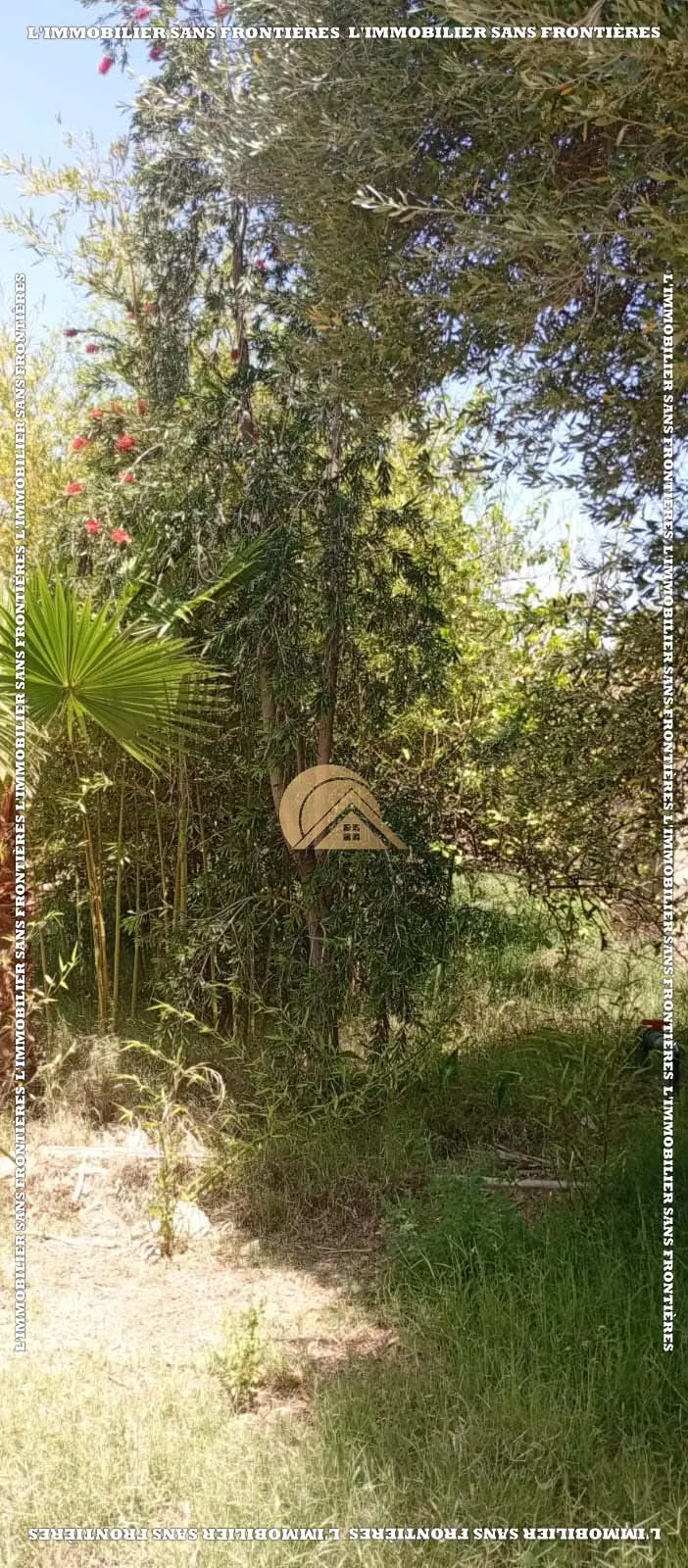 Ferme Agricole Melkia à Vendre de 2 Hectares 5 000 m² – Route de Fés Km 20 - مراكش (4)